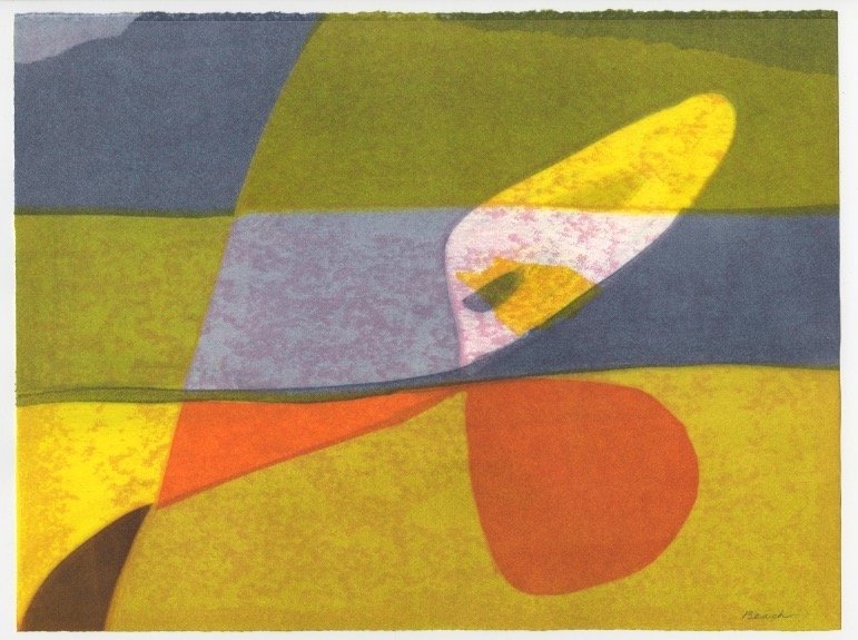 Biomorphic Abstractions