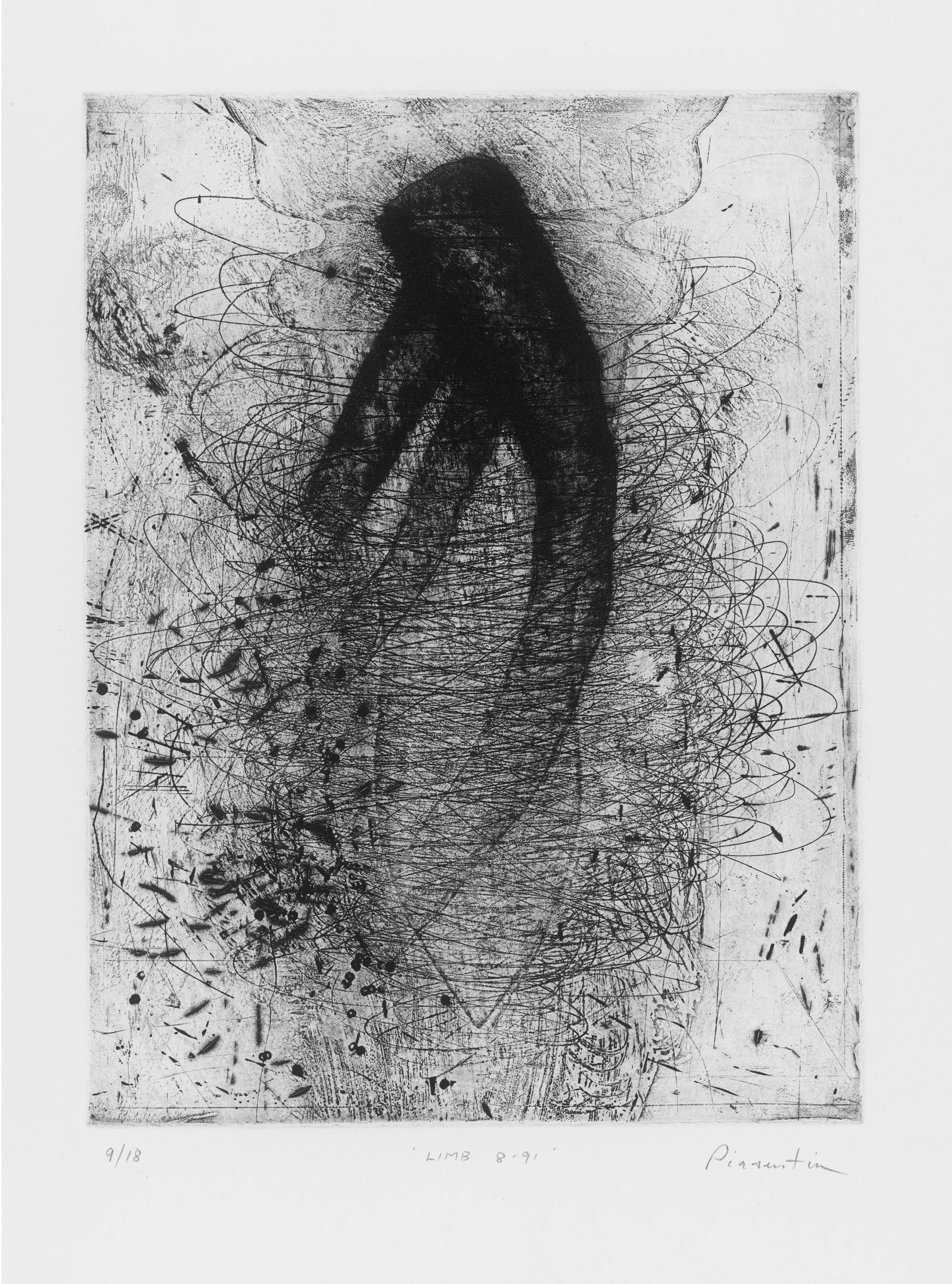 Limb 8.91