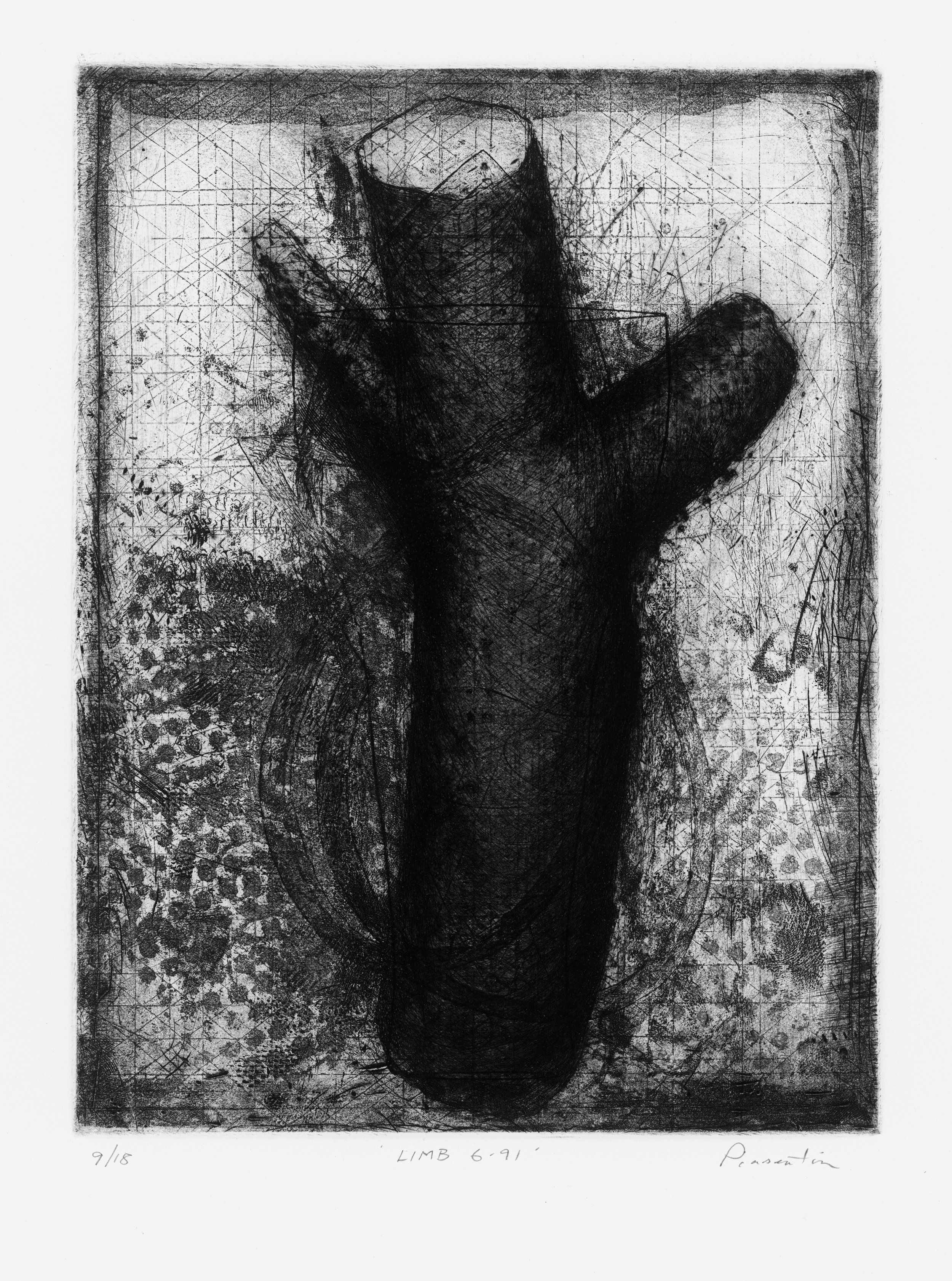 Limb 6.91