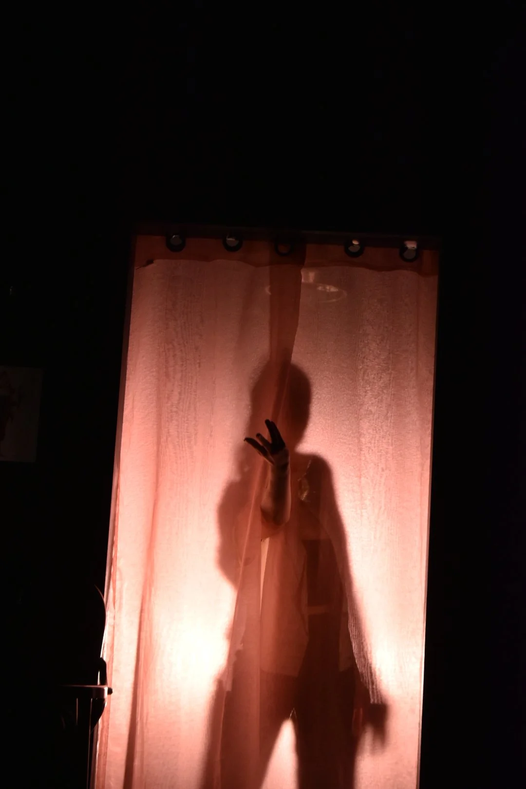 DSC_0641.JPEG