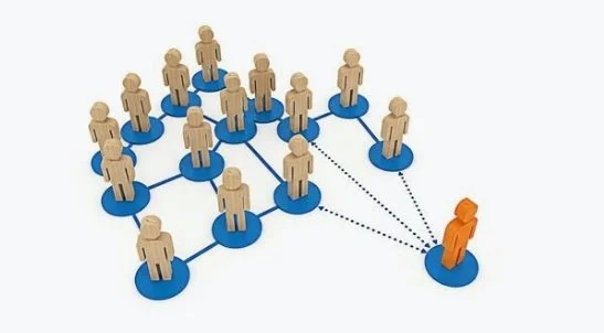 Regional and International Links