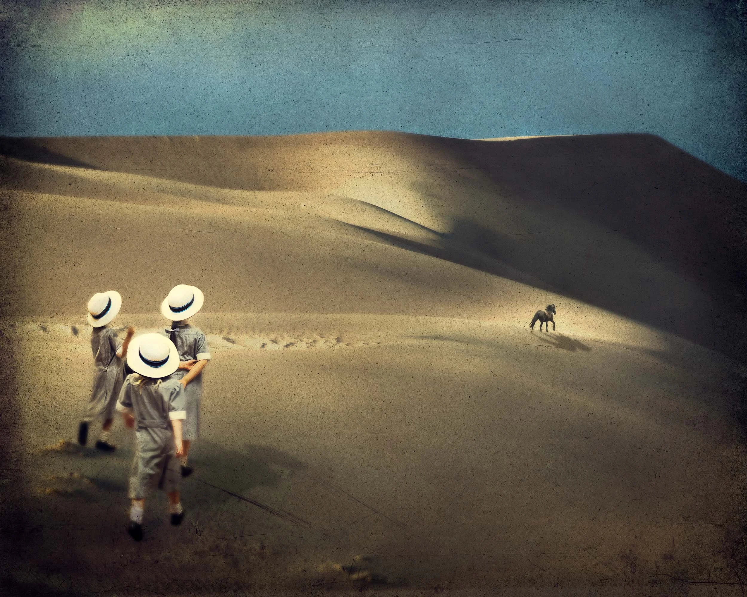 Let's Explore_5_psb_No White Horse_Blur-2.jpg