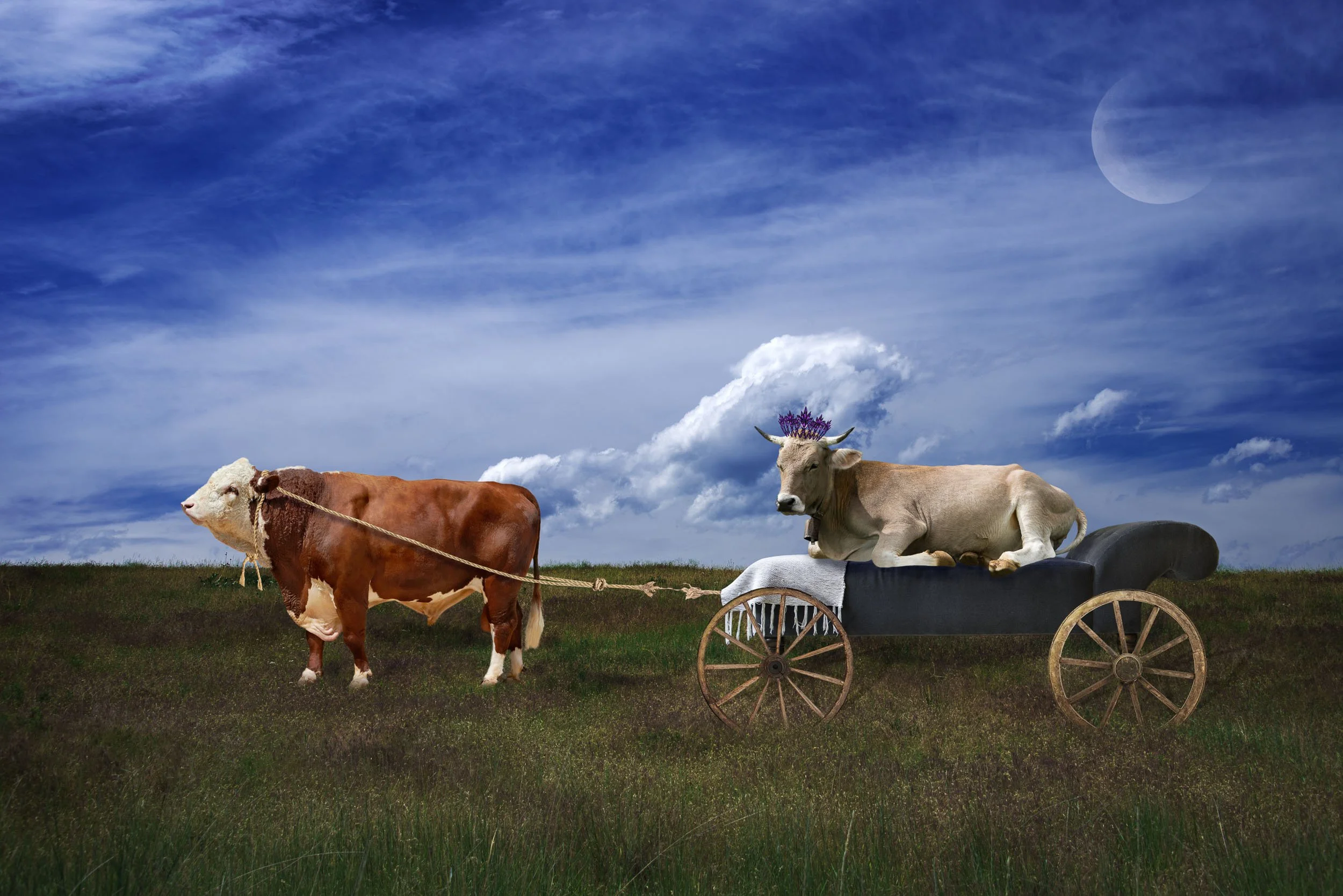 Princess and the Bull.jpg