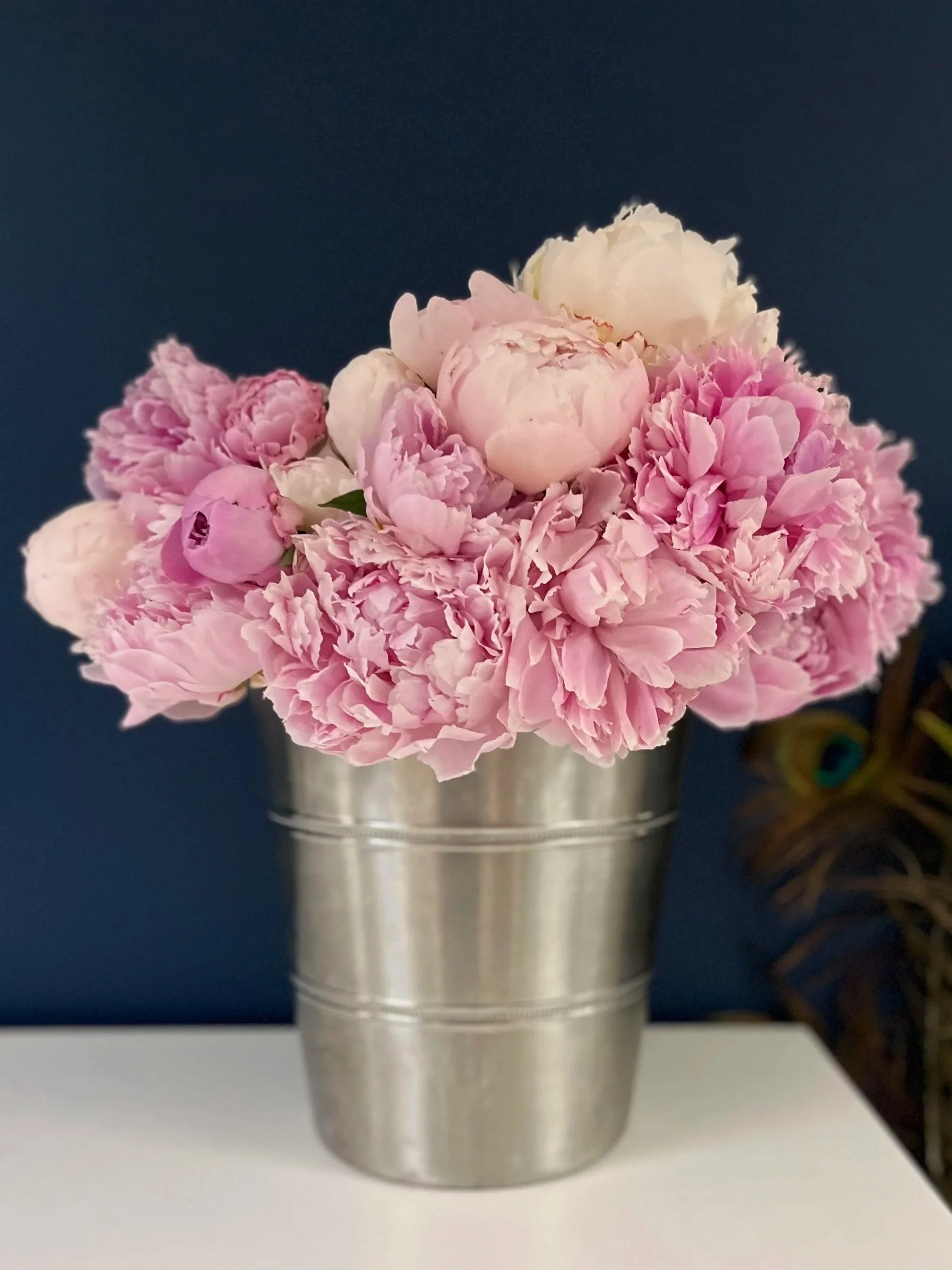 Pink and Blush Peonies, Spokane, WA. 