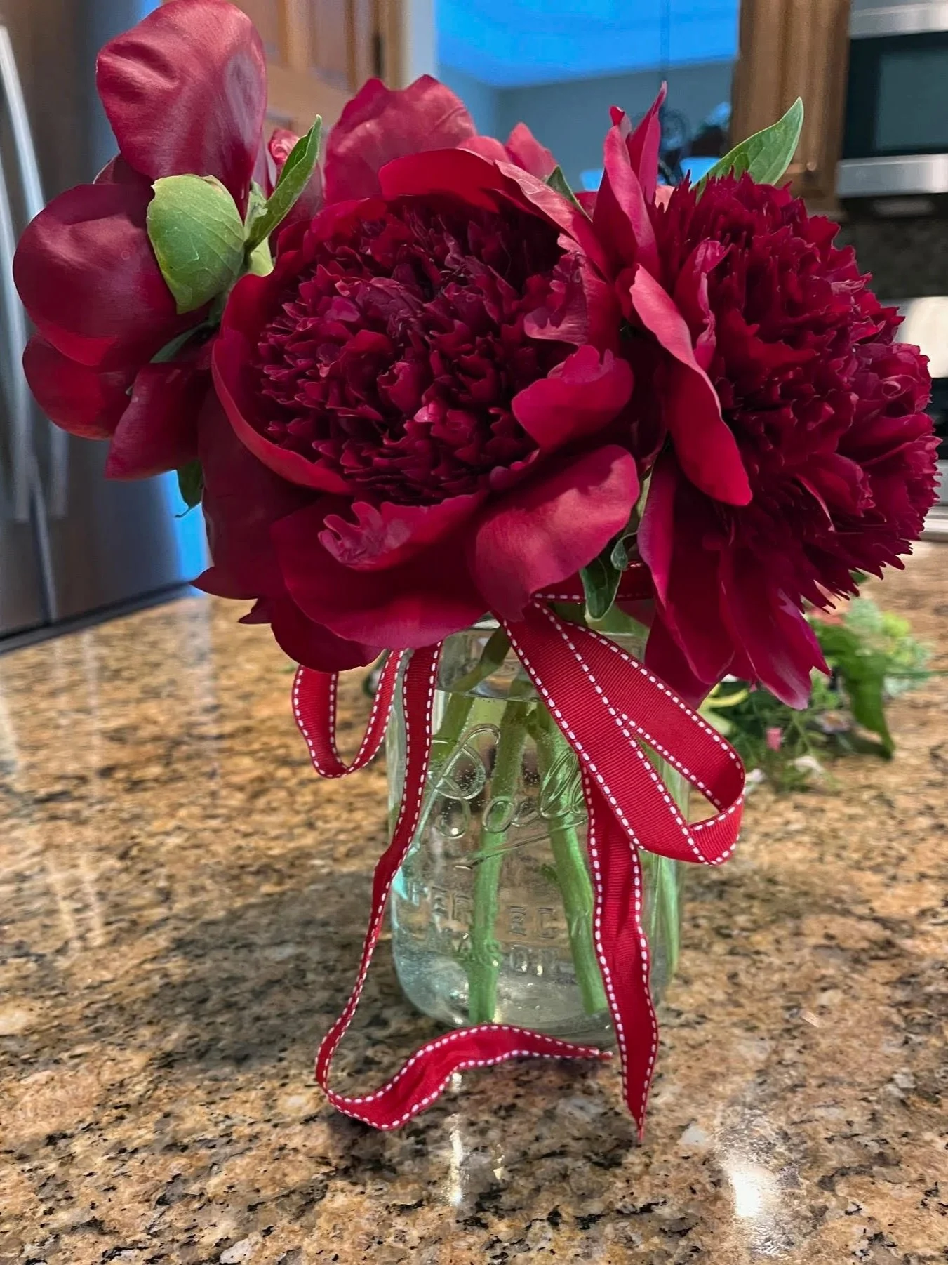 Red peonies, Spokane, WA. 