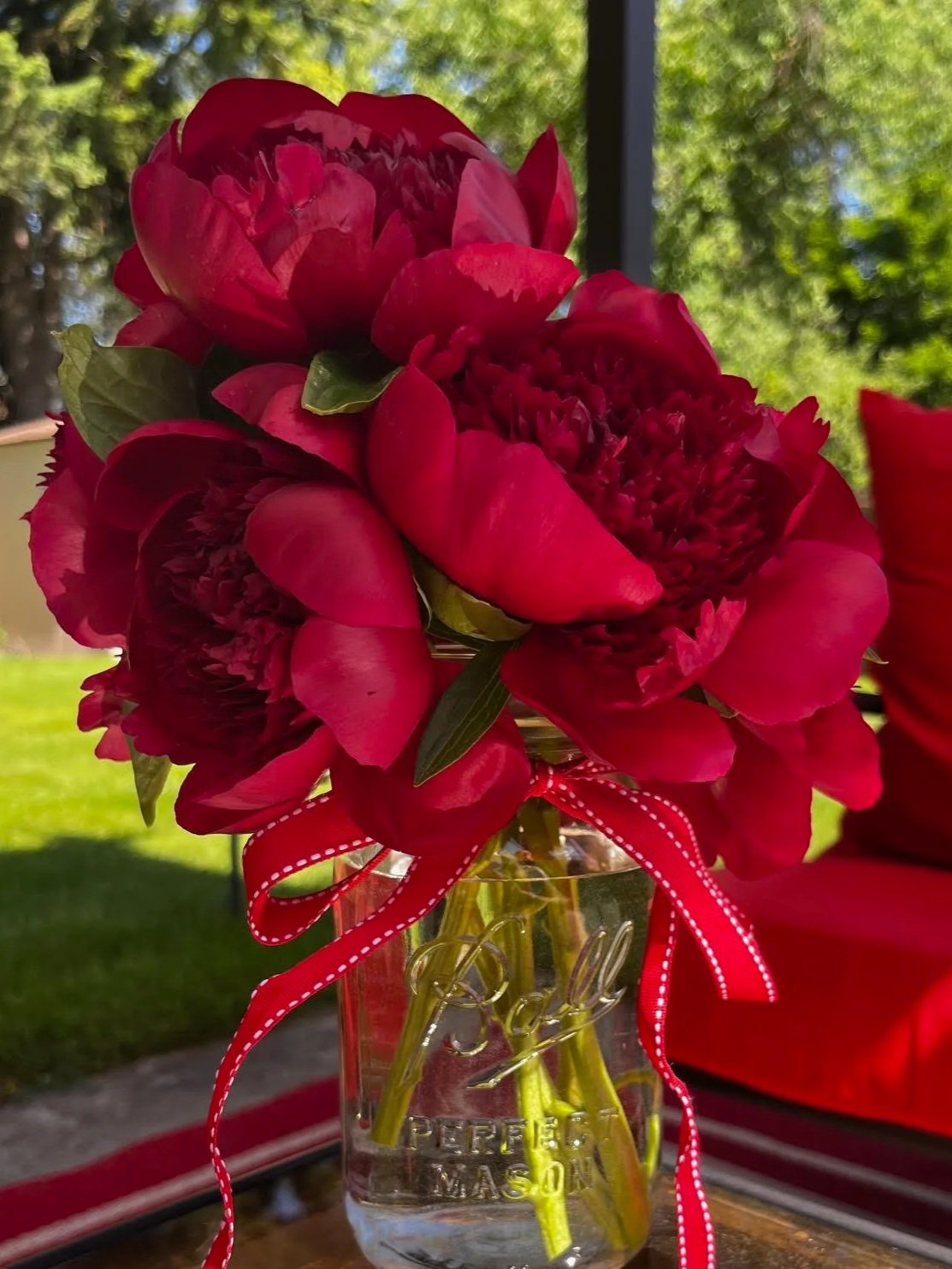 Red field peony, Spokane, WA. 