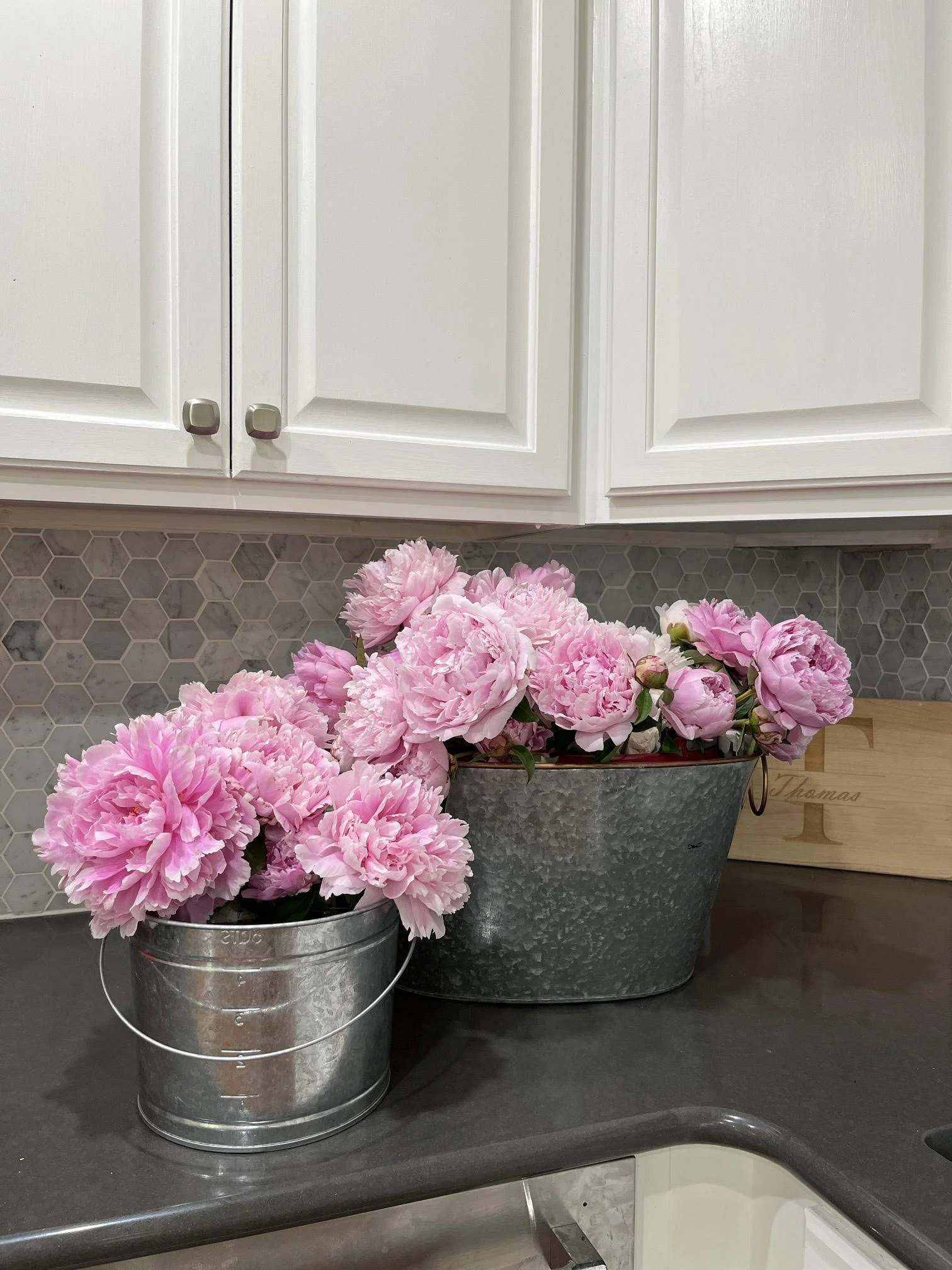 Pink peonies Spokane, Washington. 