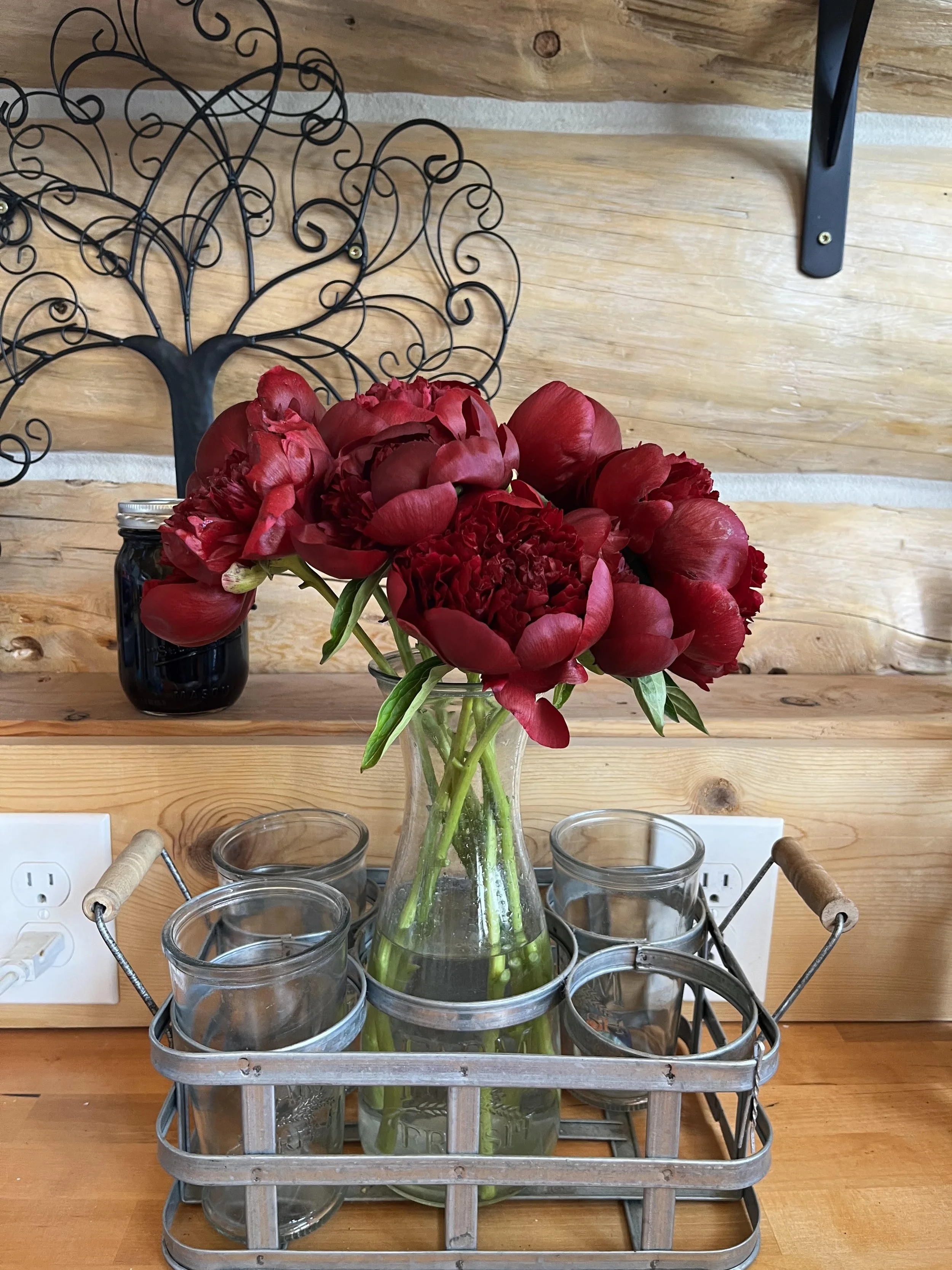 Red field peonies, Deer Park, WA.