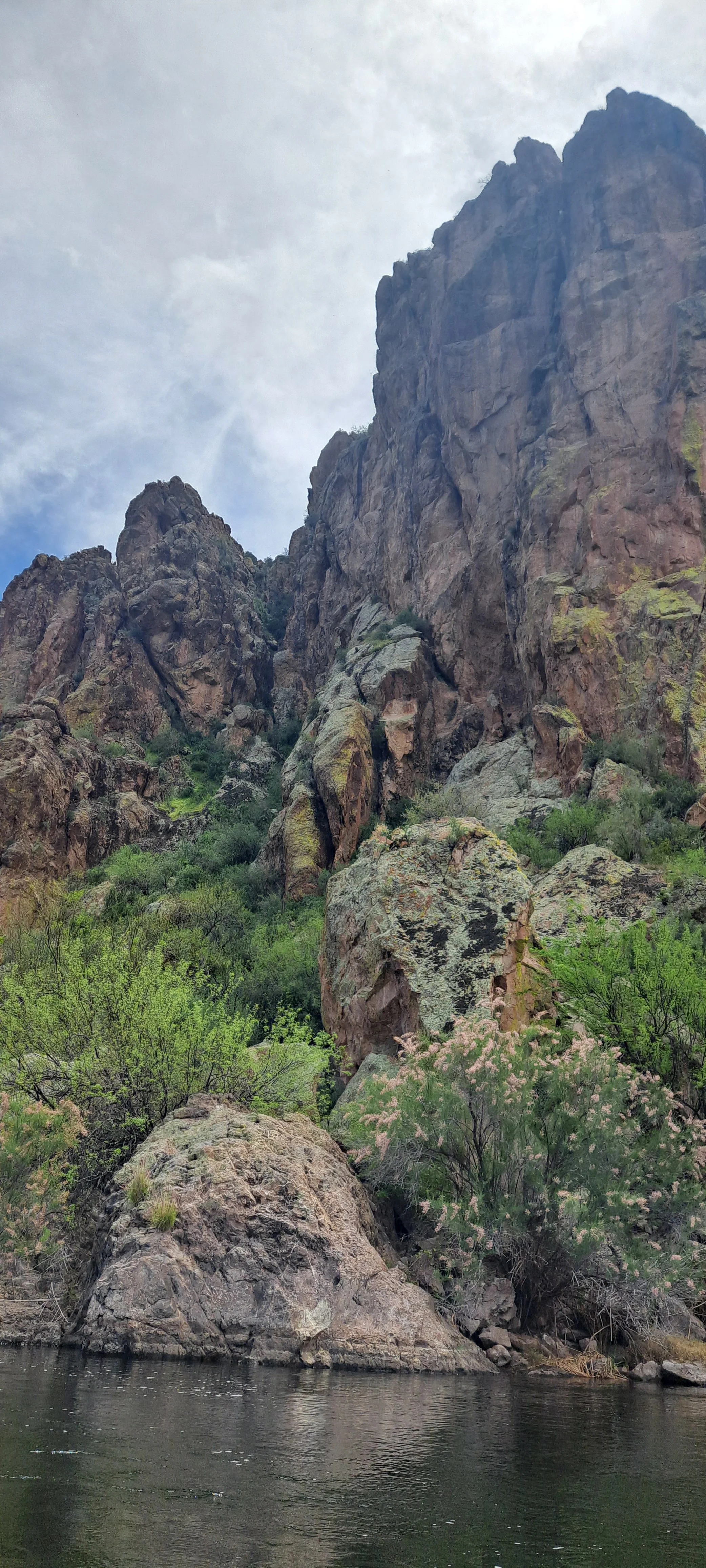 kelly-burgwinkel (9).jpg