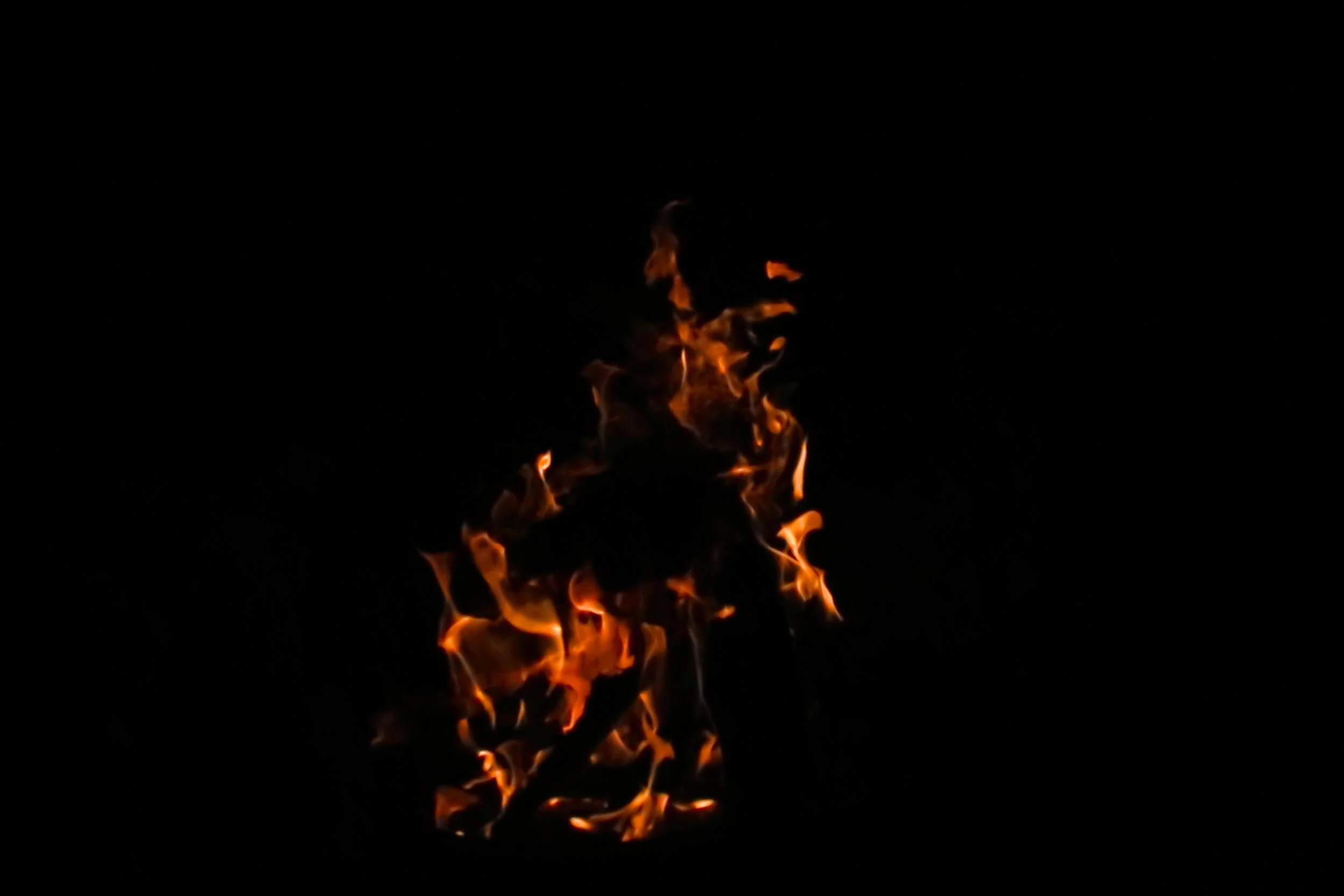 flight of the phoenix
