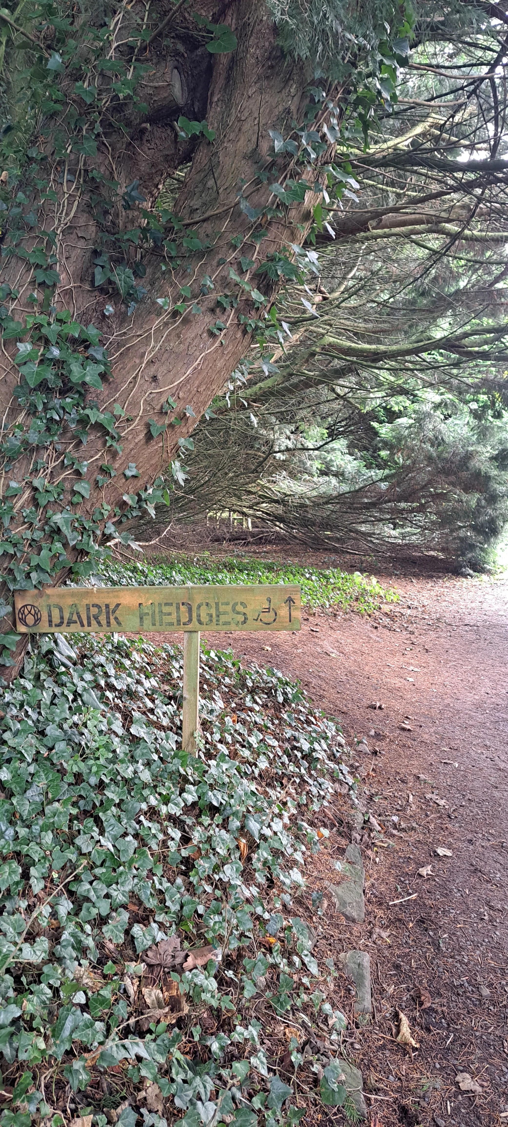 20231001_144834 (1).jpg