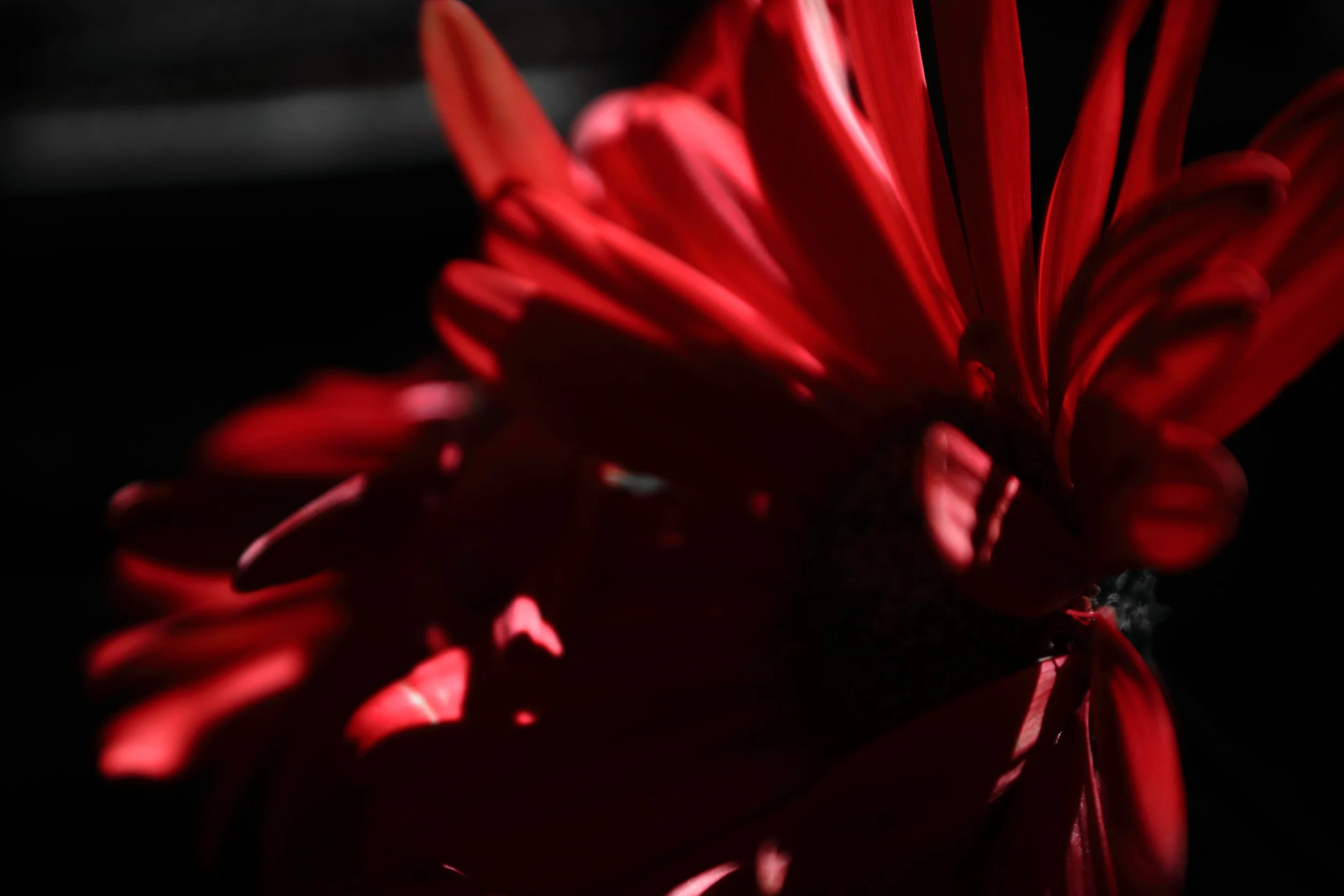 Deep in red