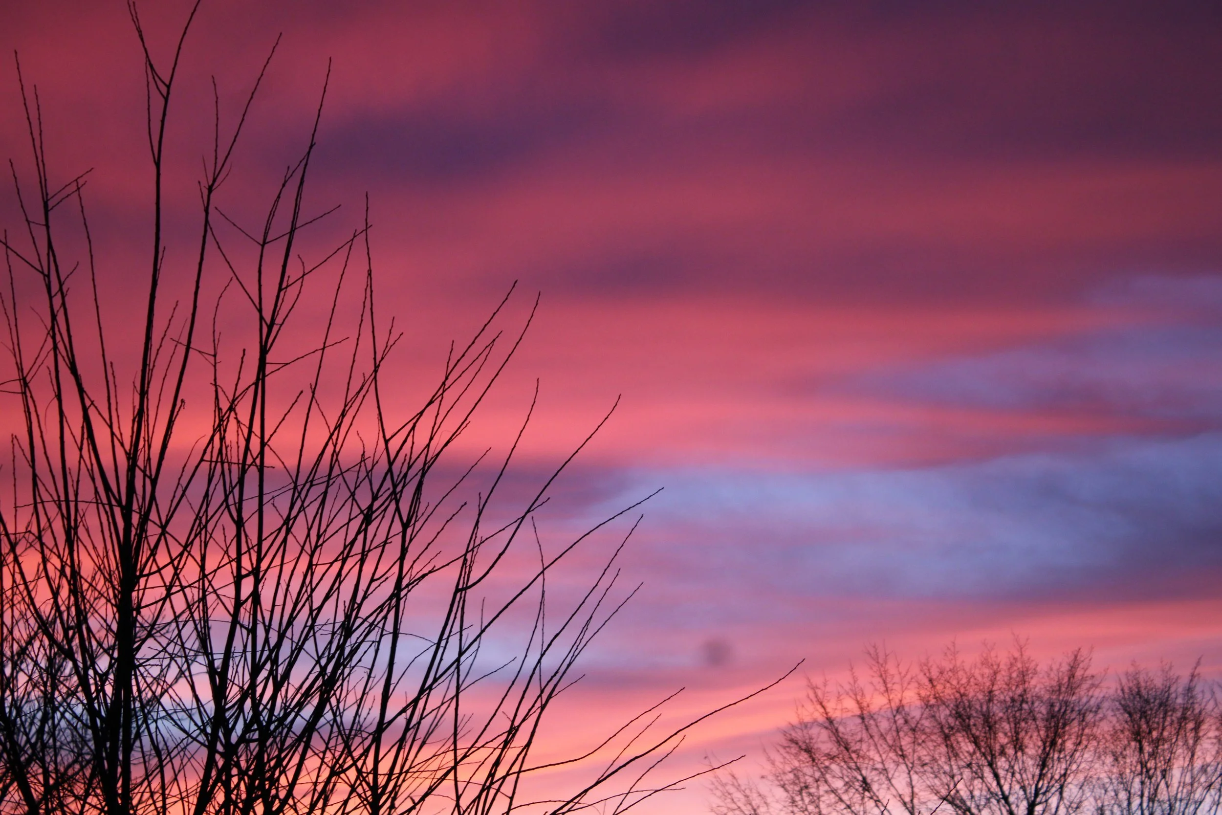 kelly-burgwinkel (11).JPG