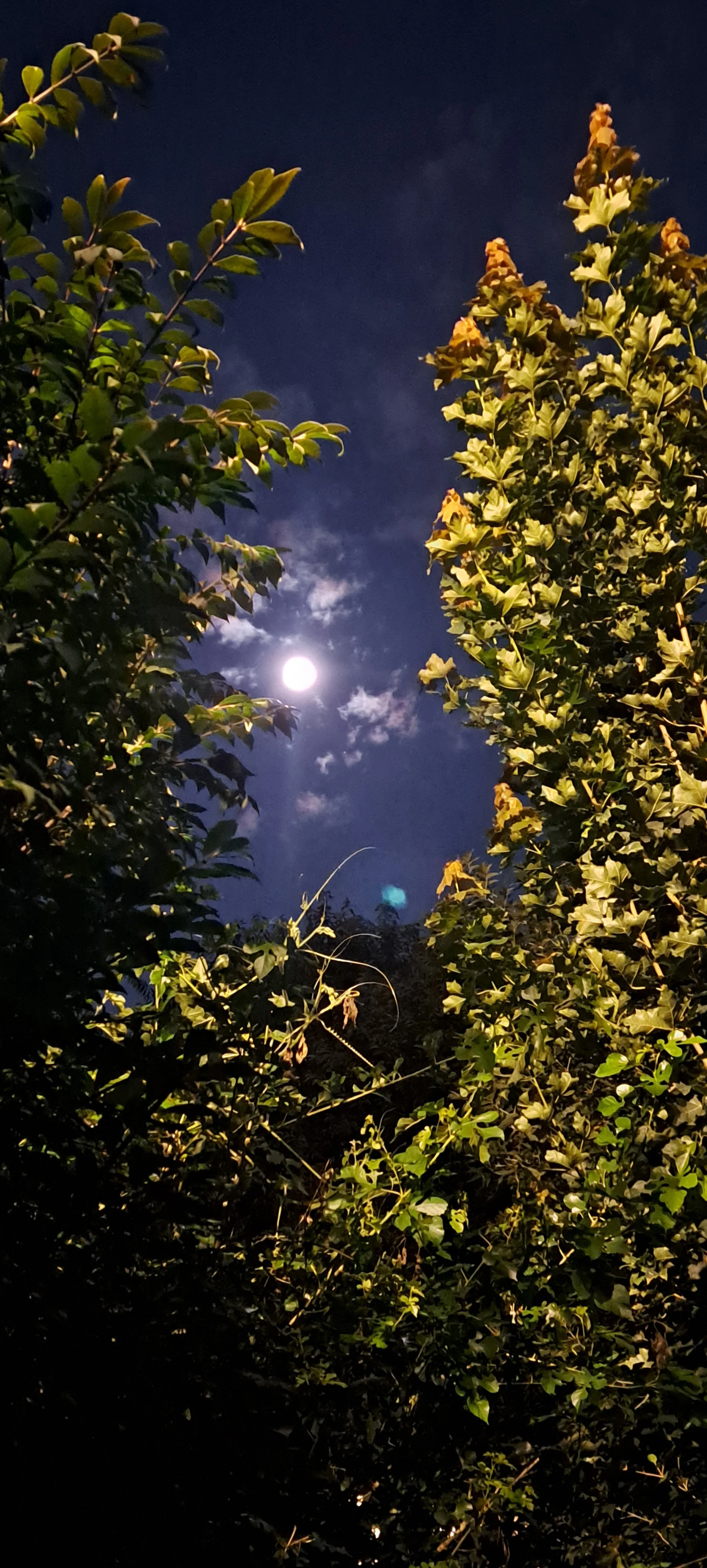 20240821_050713 (1).jpg