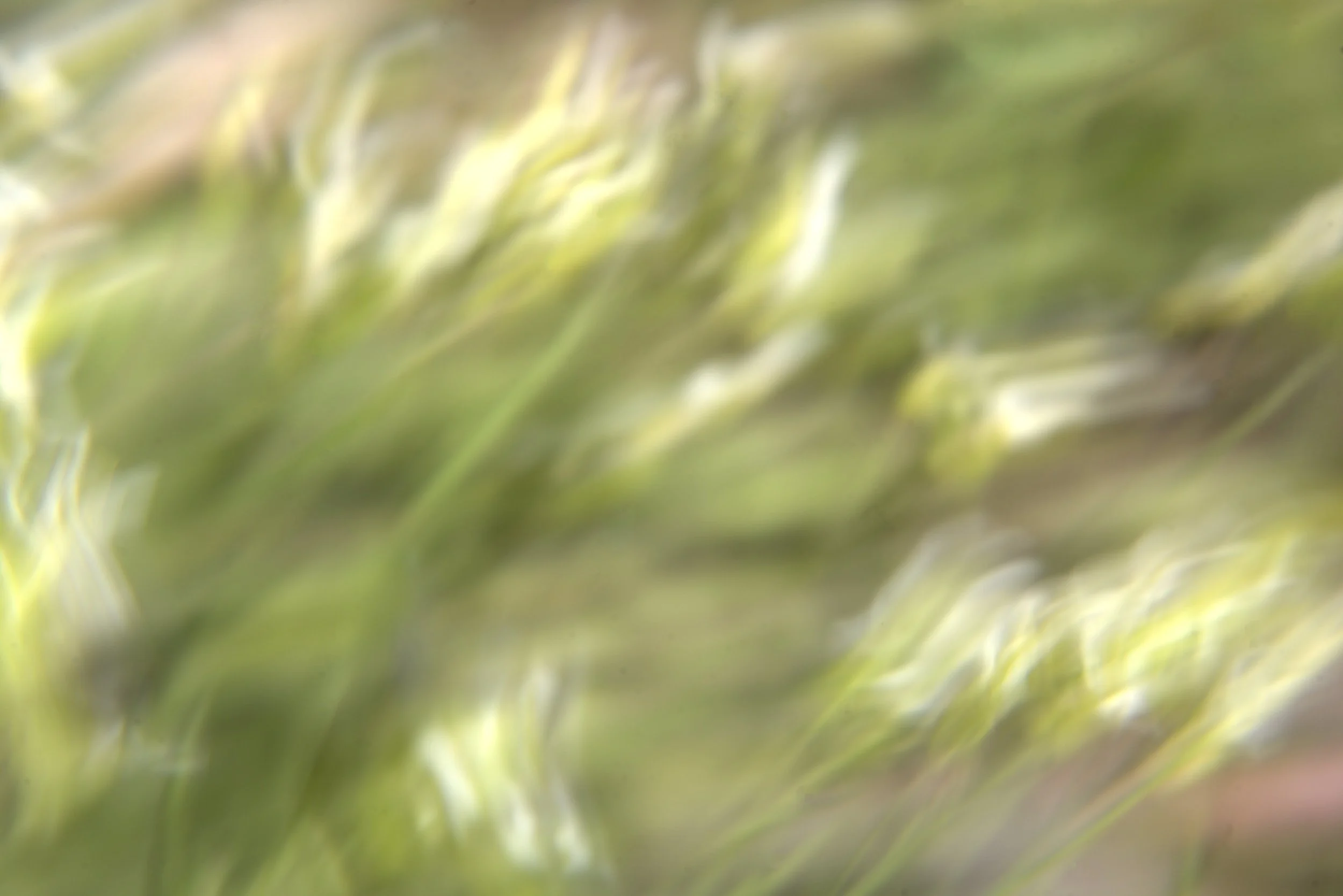 adstract clean.jpeg