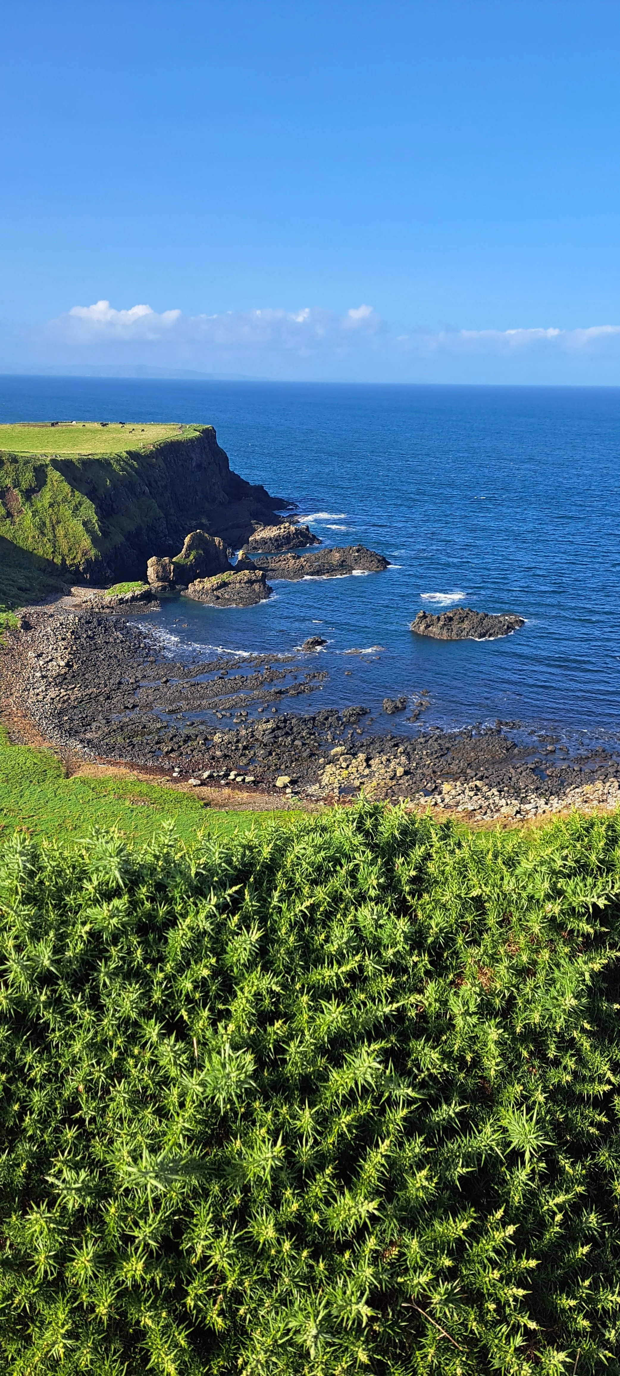 kelly-burgwinkel (7).jpg