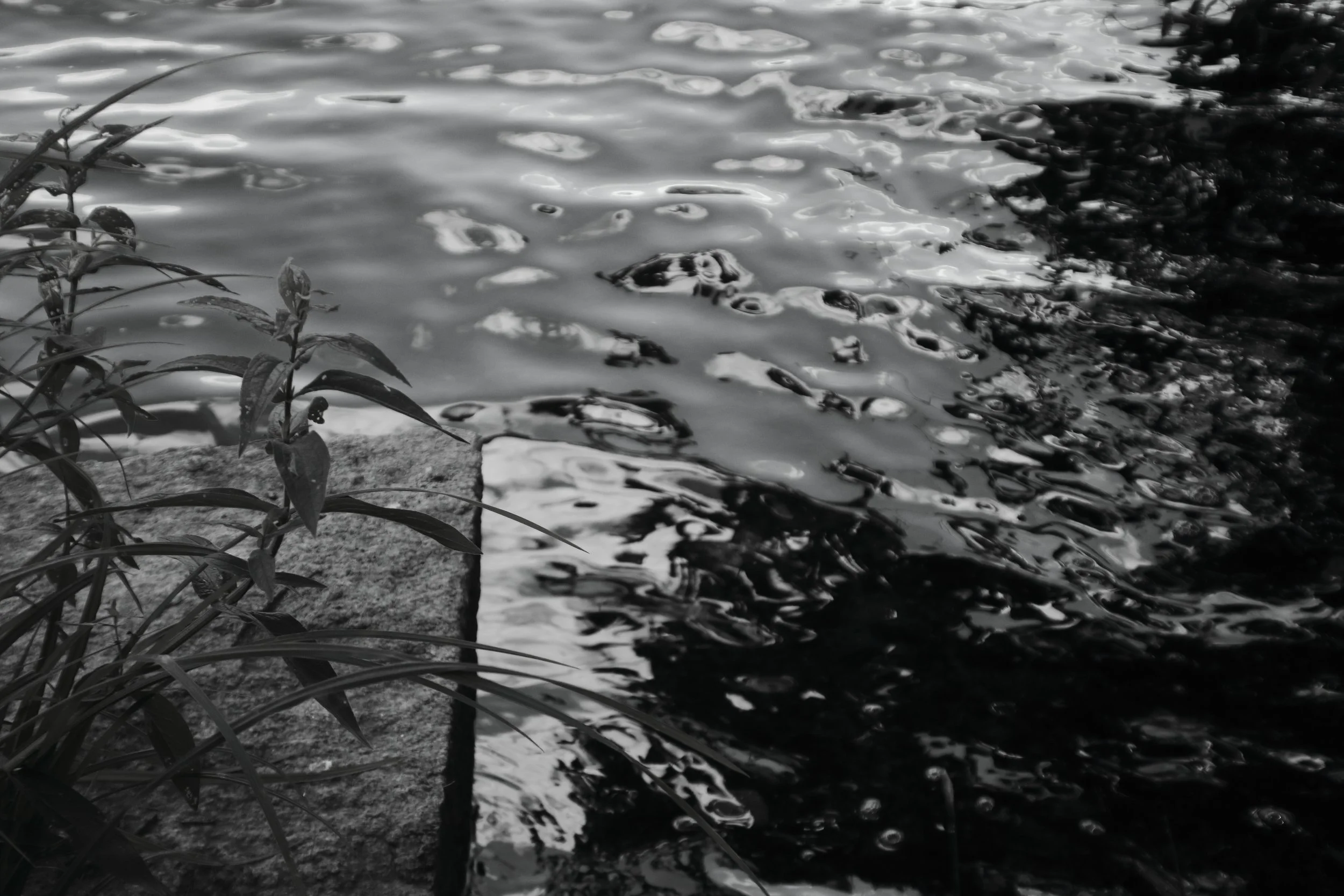 lake in black and white.JPG