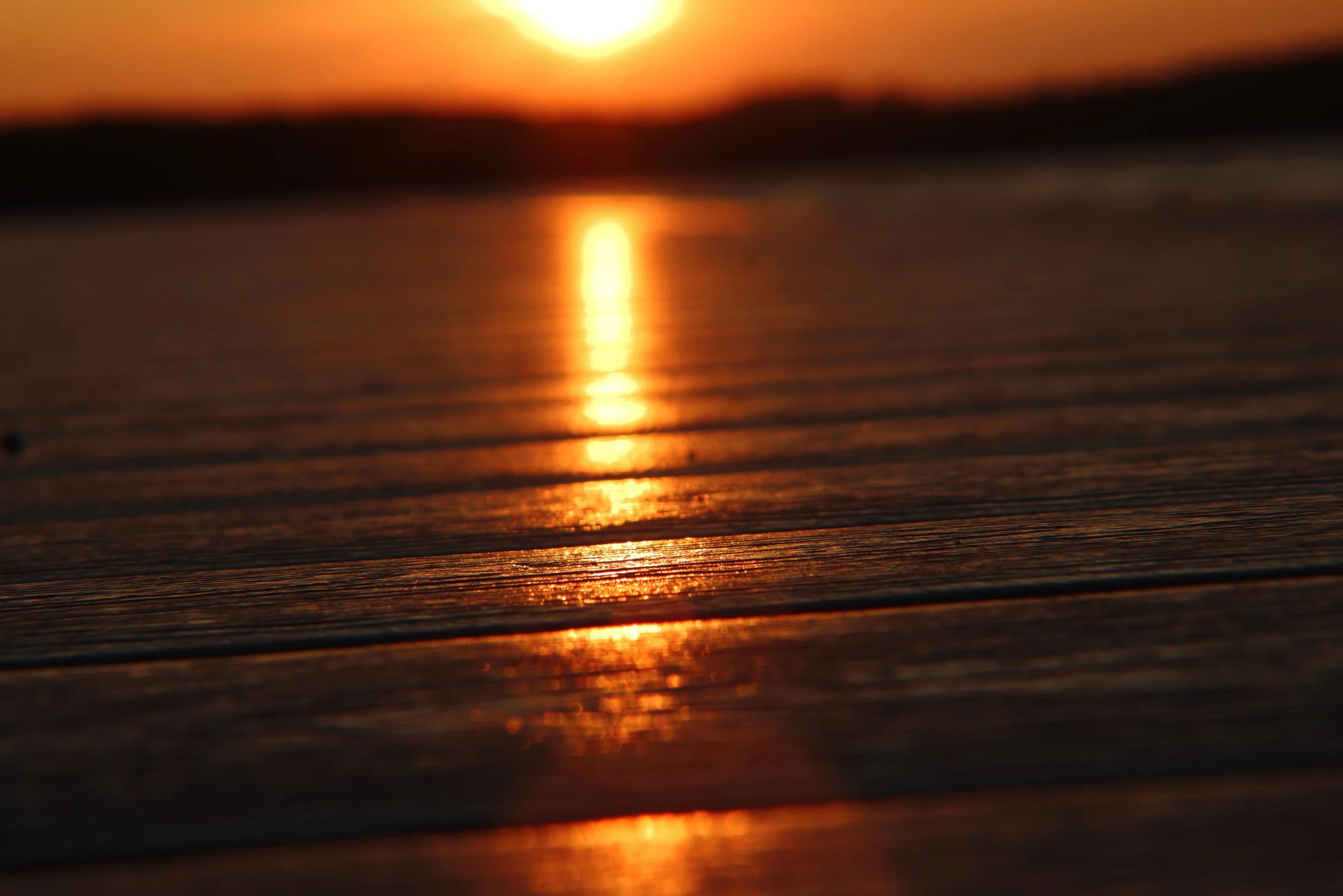 sunlight on wood