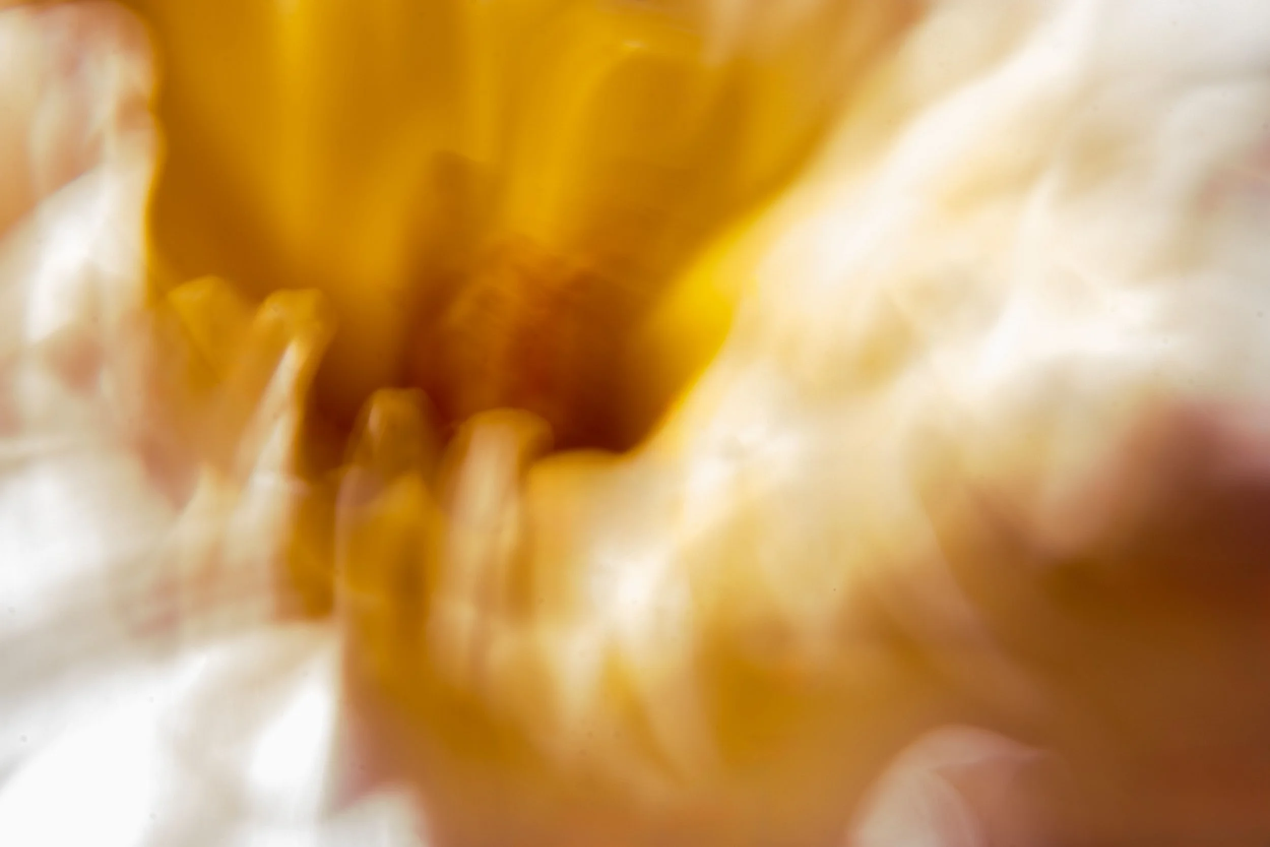 white, yellow adstract copy.jpg