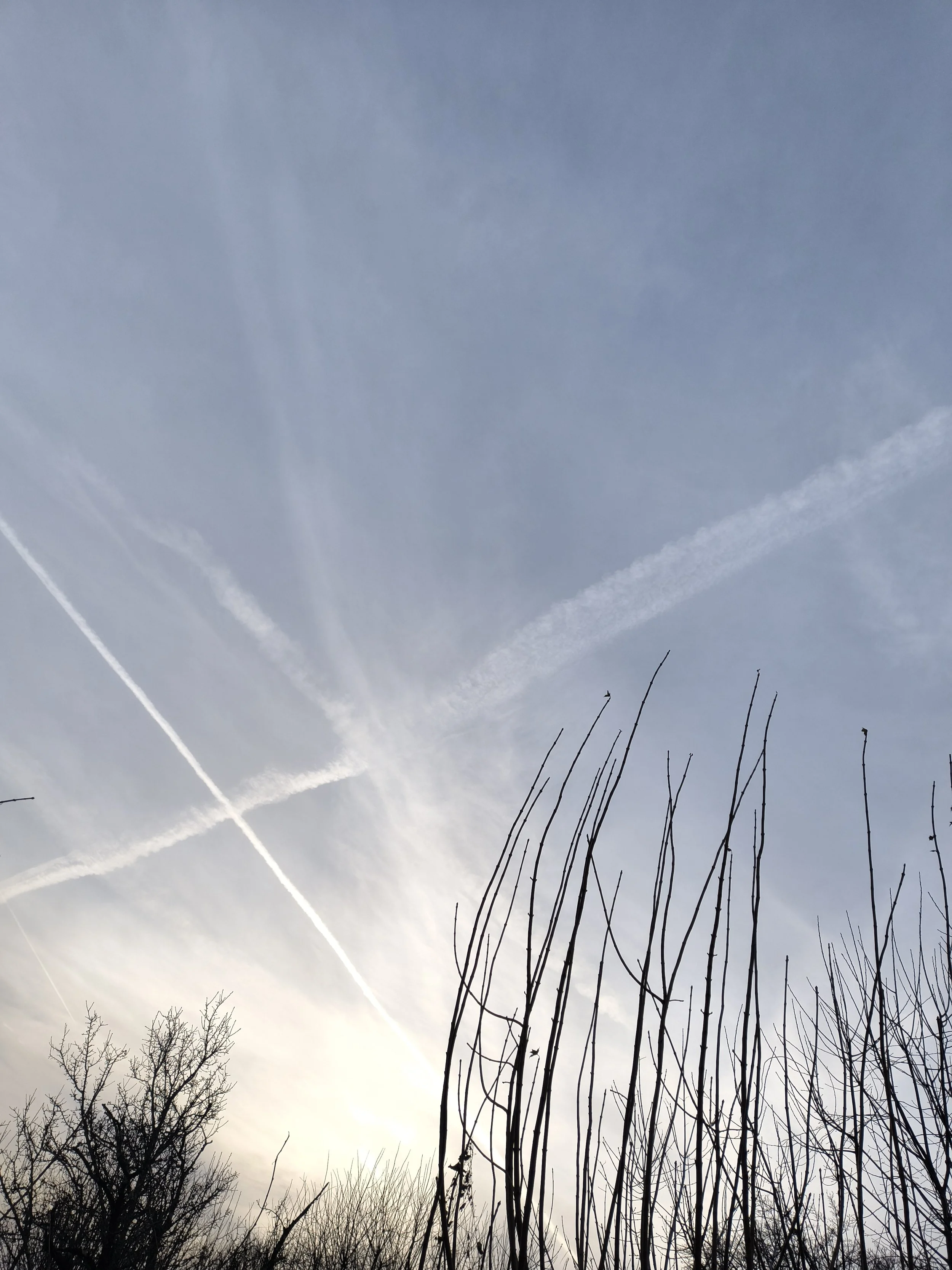 IMG_20241215_151827544 (1).jpg