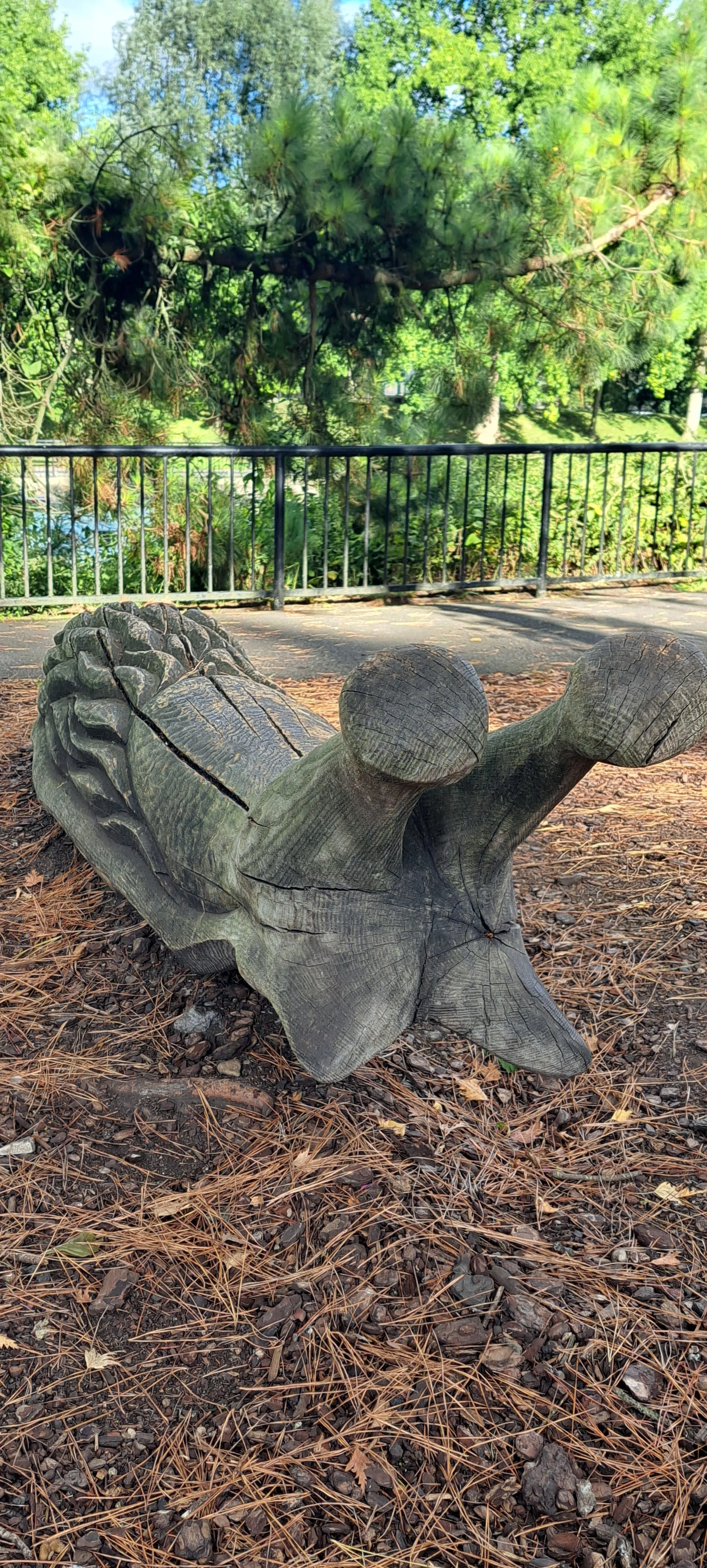 20220915_163241 (1).jpg