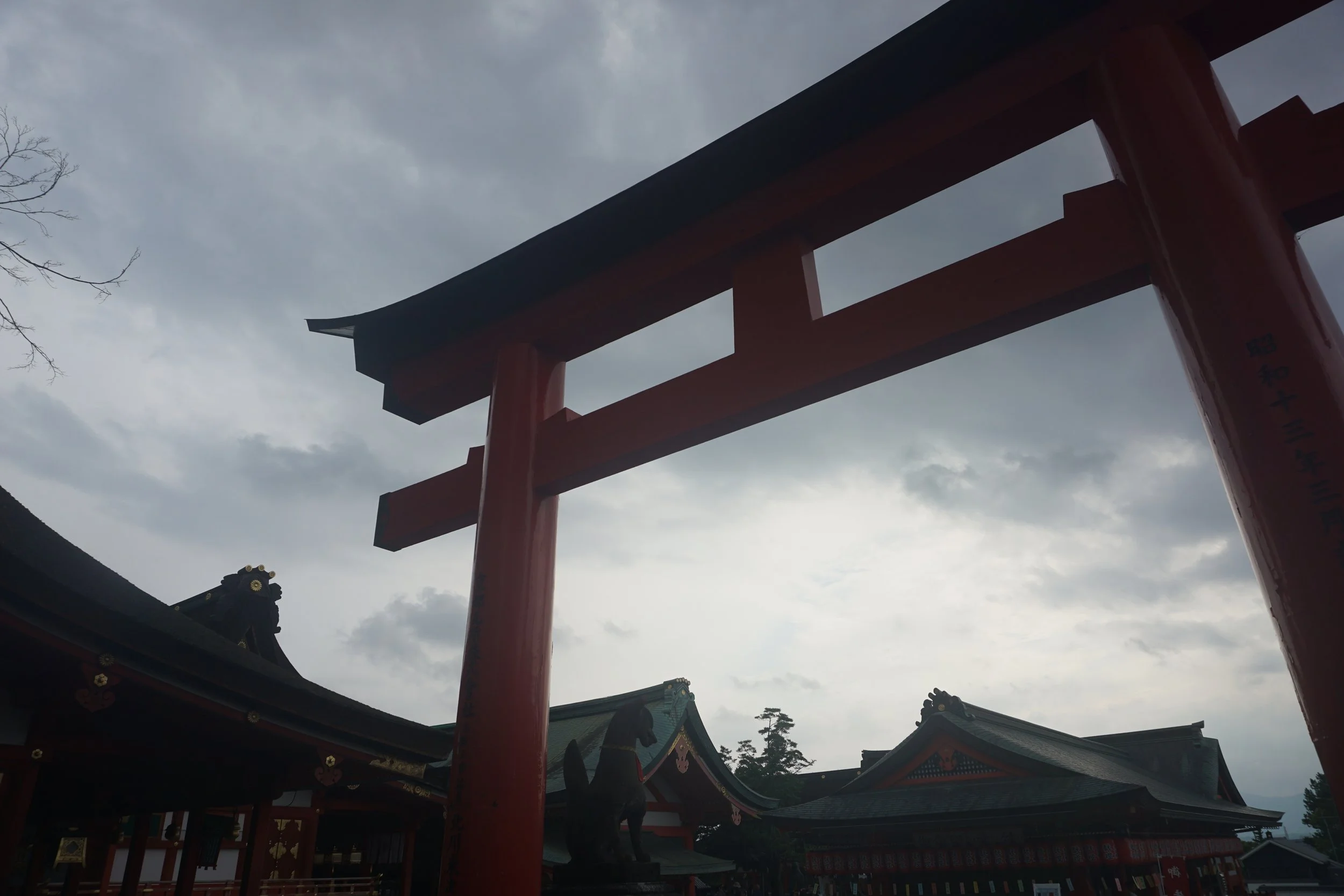 DSC08812.JPG