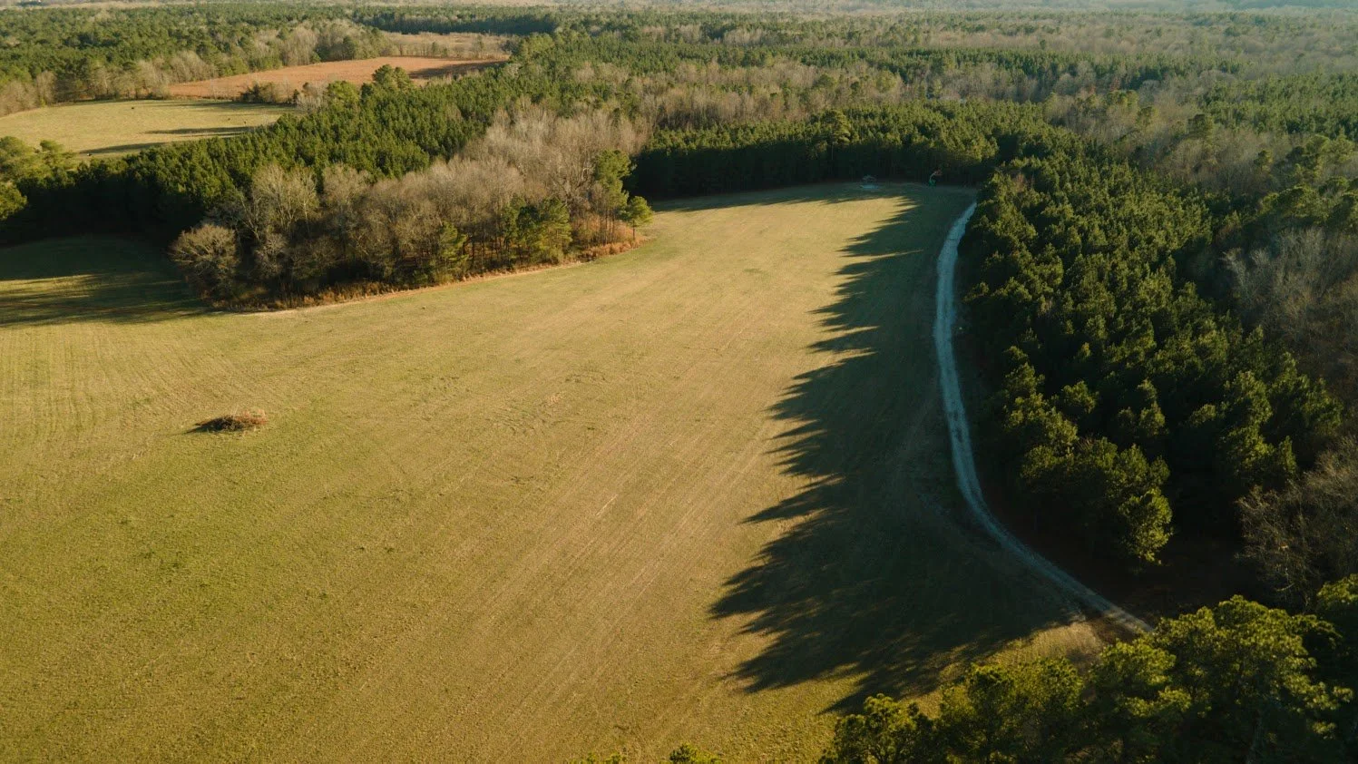 DJI_0289.jpeg