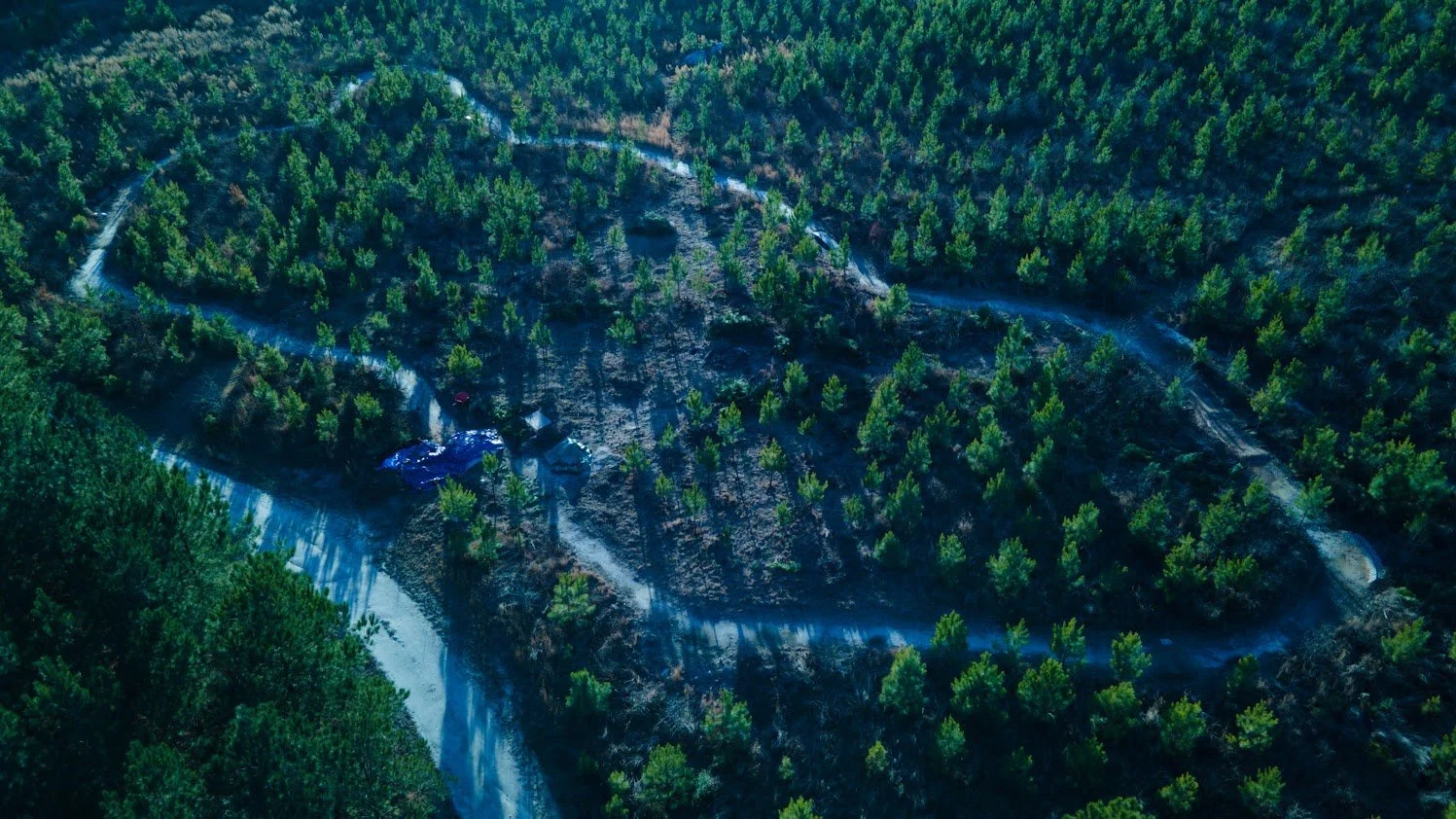 DJI_0304.jpeg