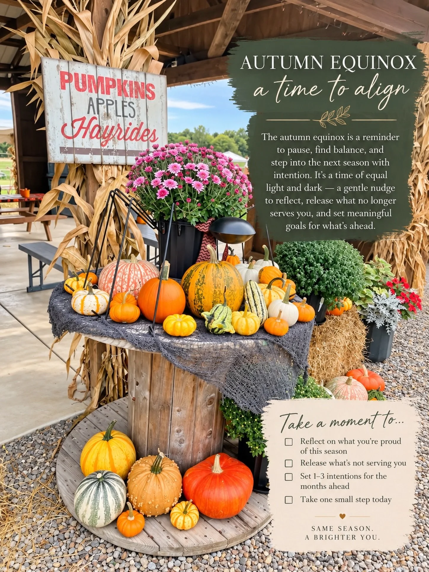 A new season is a natural opportunity to check in with yourself. 🍂 

The autumn equinox marks a shift &mdash; nearly equal light and darkness, followed by shorter days as we move toward winter.

I love using seasonal transitions as a reminder to ref