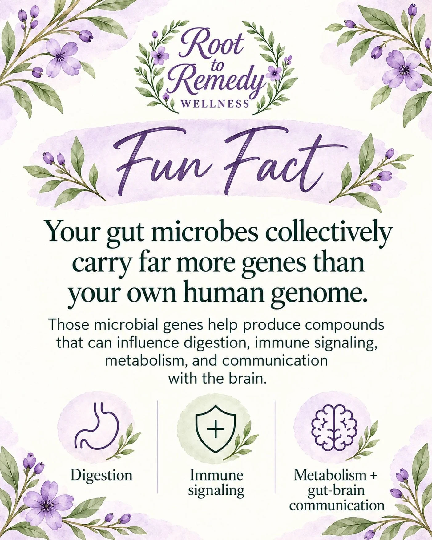 Your microbiome is doing more than helping you digest food. 🌿

Gut microbes carry an enormous amount of genetic information and help produce compounds that can influence digestion, immune signaling, metabolism, and the gut&ndash;brain connection.

J