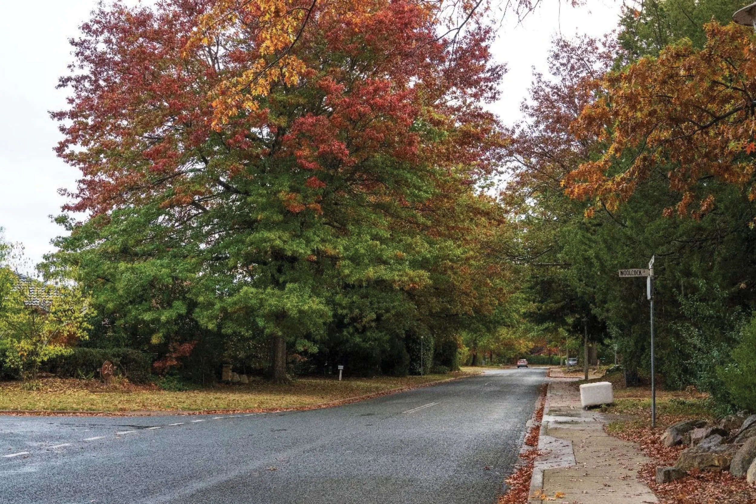 Colouring Canberra’s Suburbs Blue: exploring an alternative densification option for suburban infill