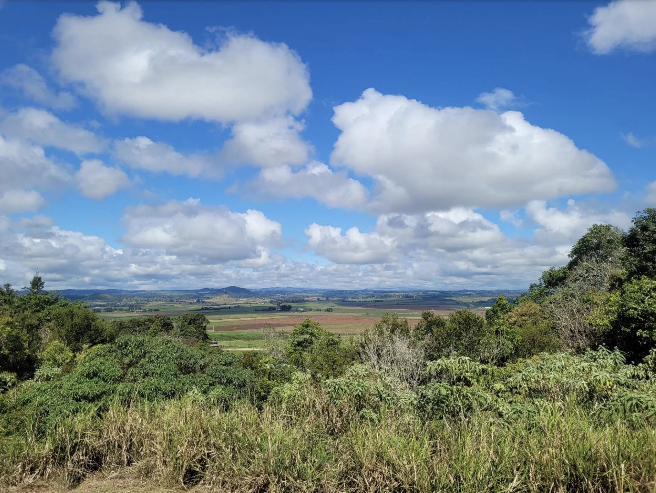 Rural Design in Queensland: Case Studies