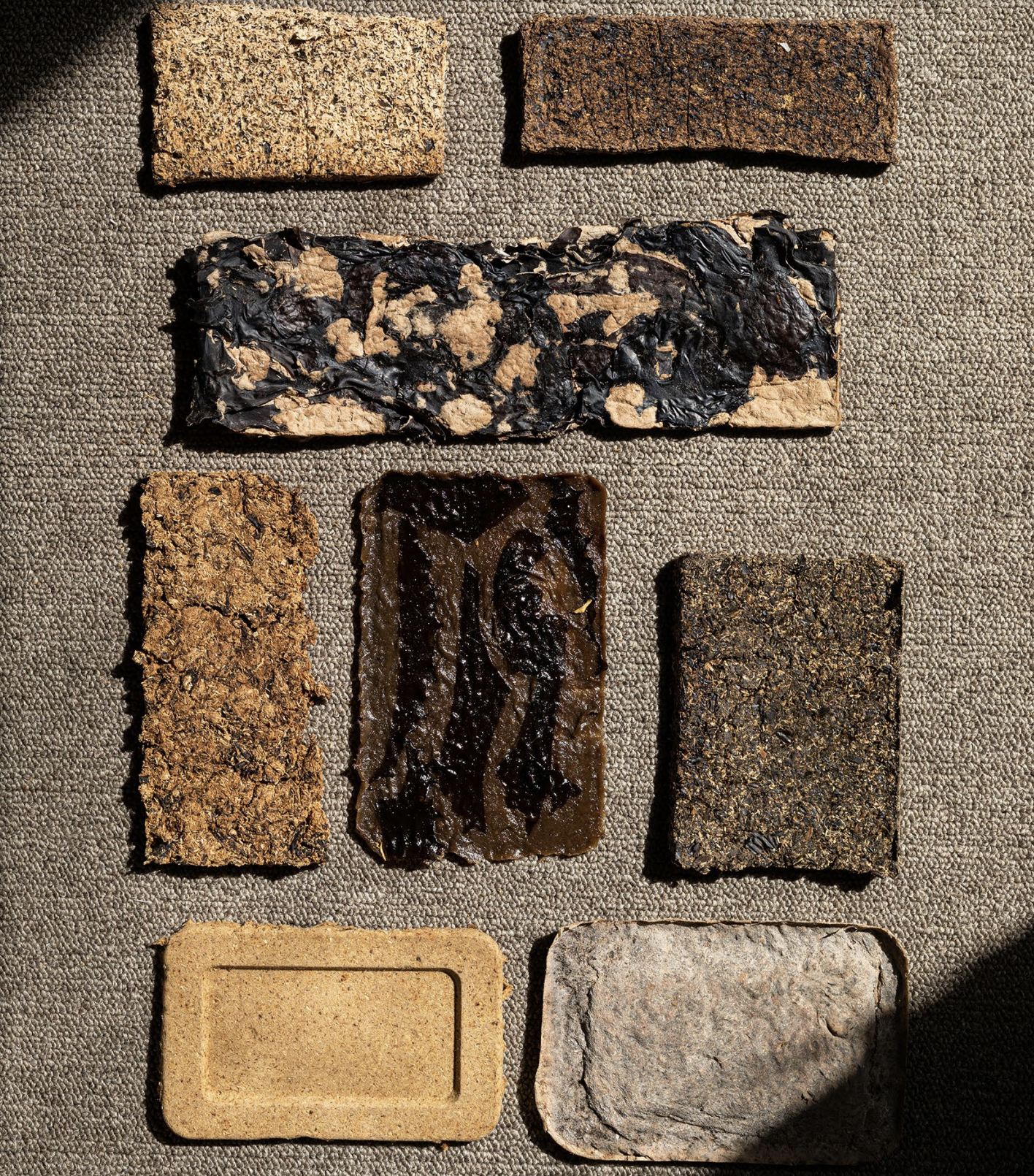 Phycoforms: Building the Future with Seaweed