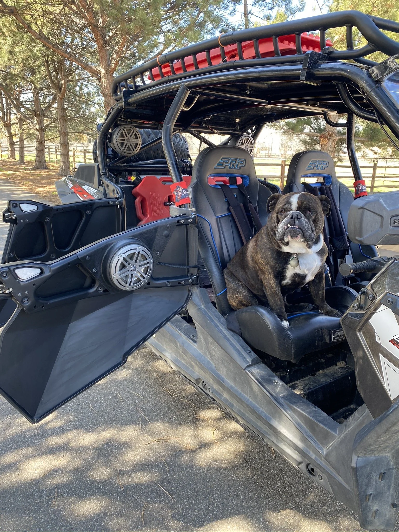 2016-rzr-xp4-turbo-polaris_49749838738_o.jpg