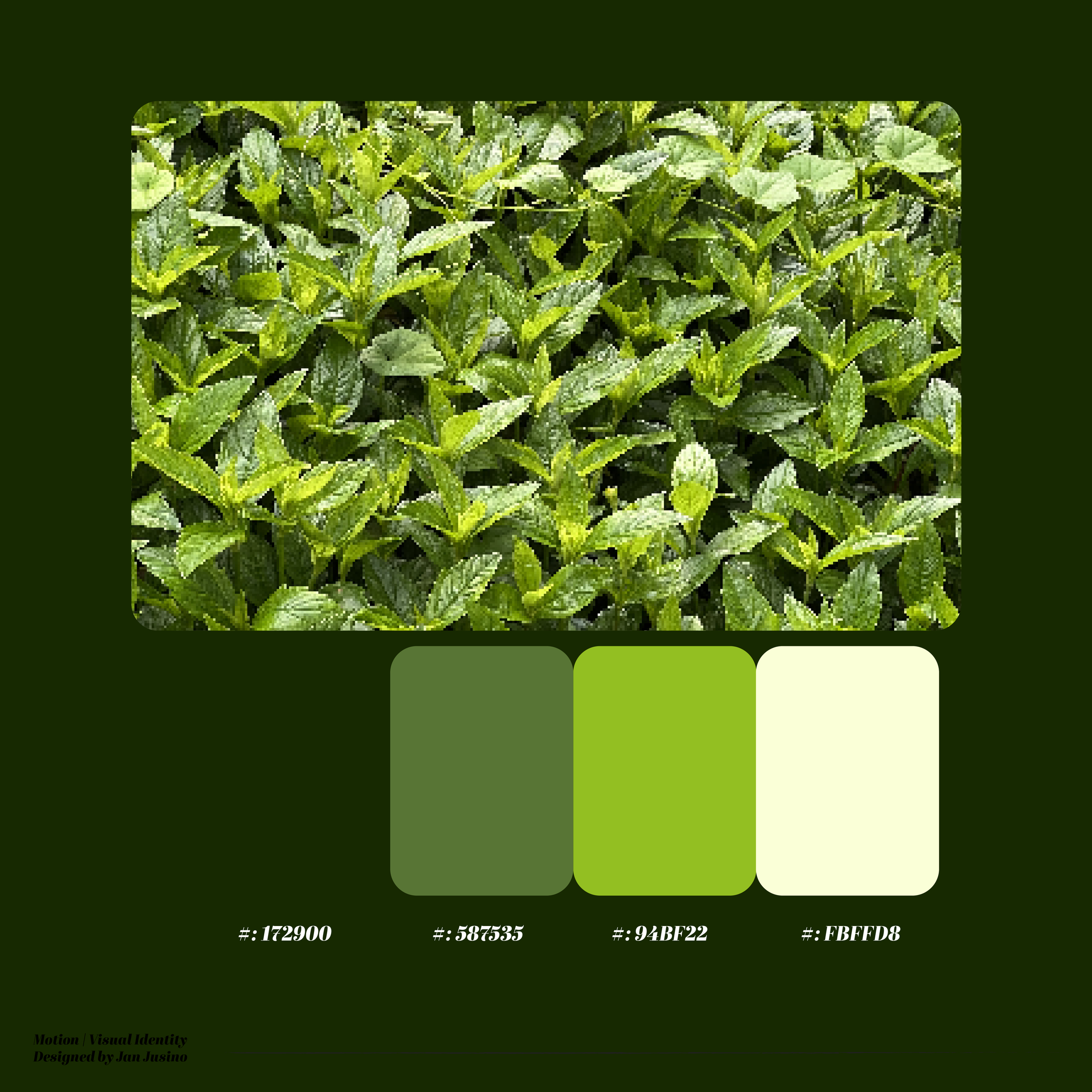 Motion_Logo_Color Scheme.png