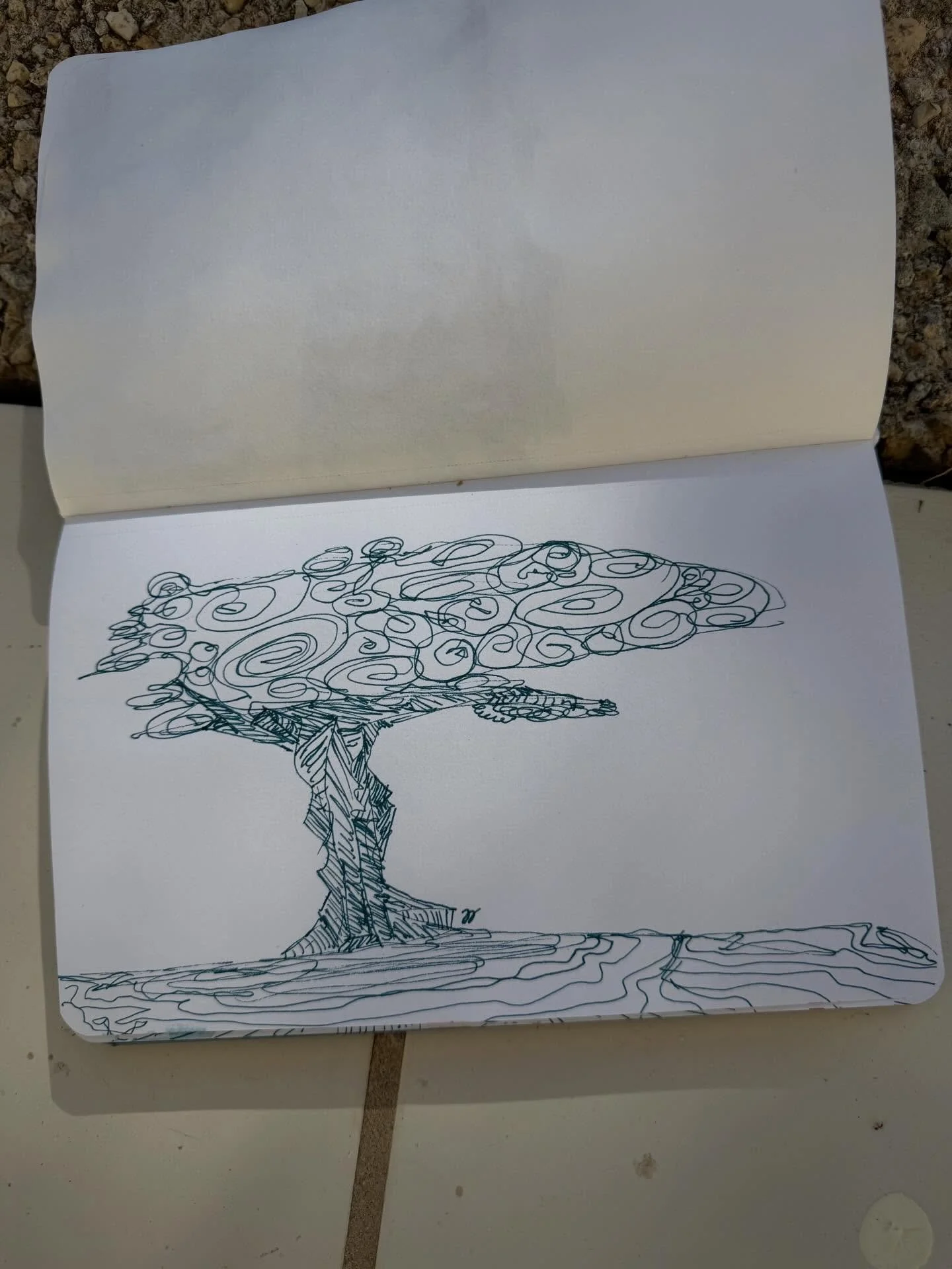 conceptos: &aacute;rbol #dibujo #ilustraci&oacute;n