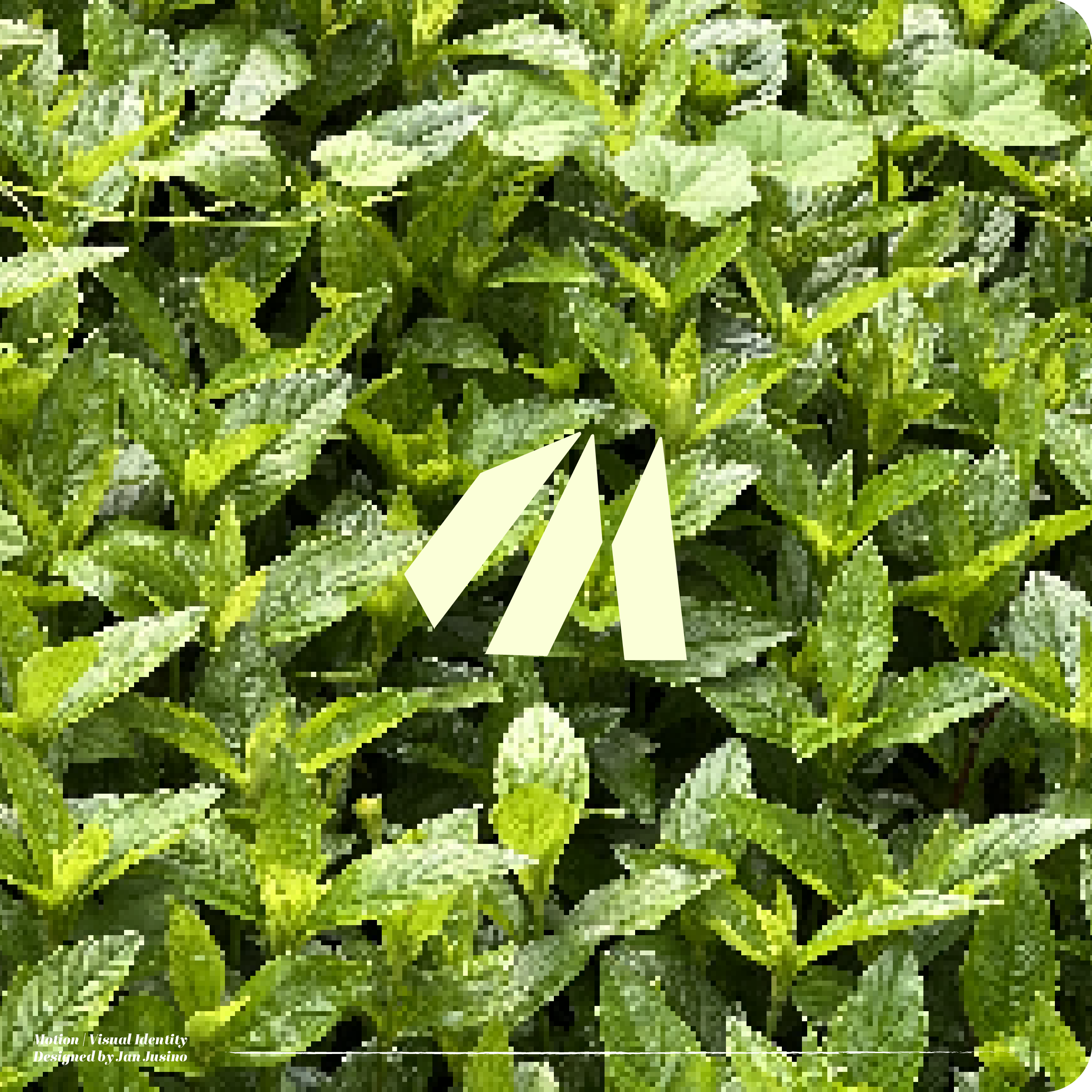 Motion_Logo_Logo copy 4.png