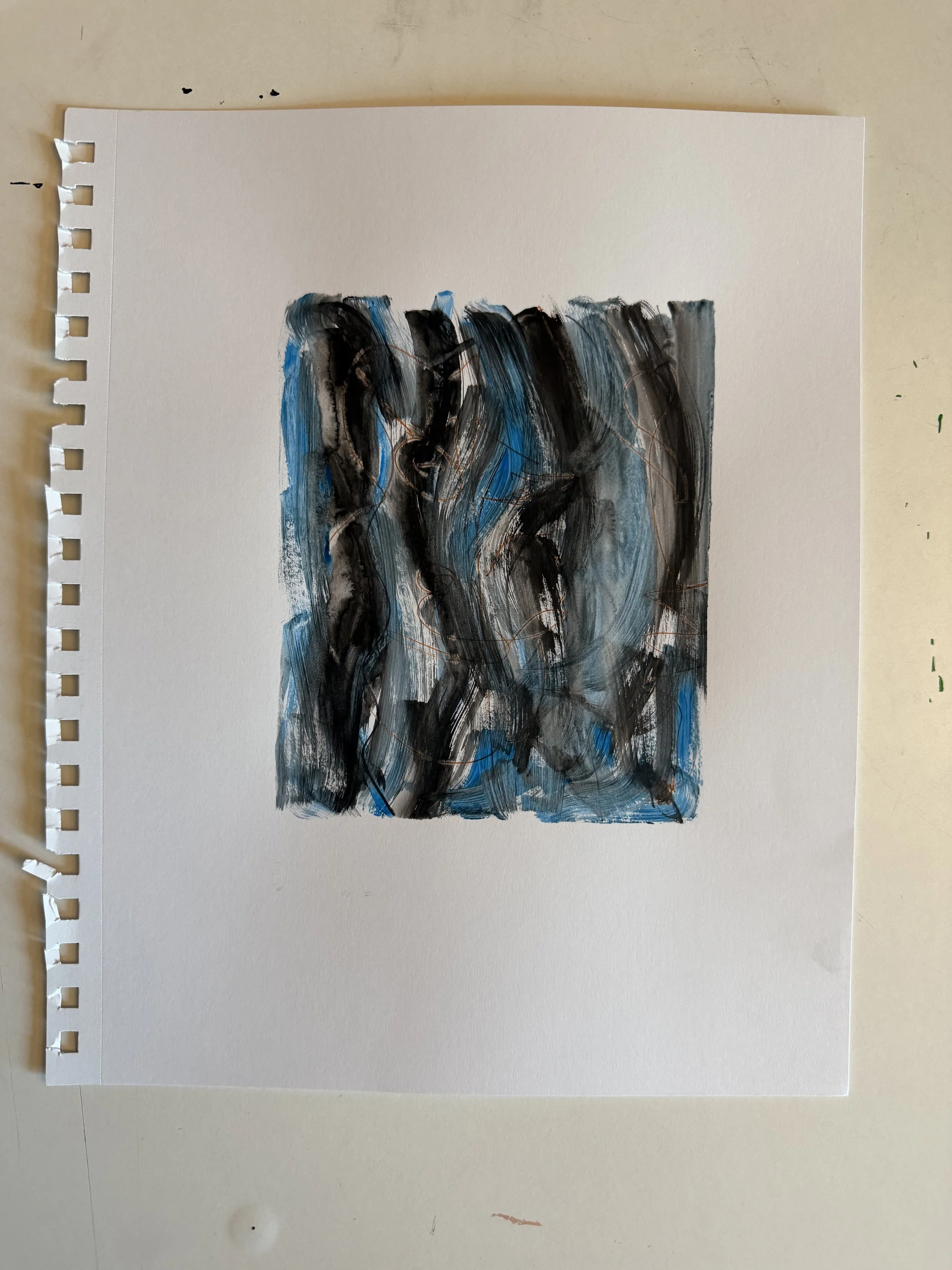 IMG_2664.jpeg