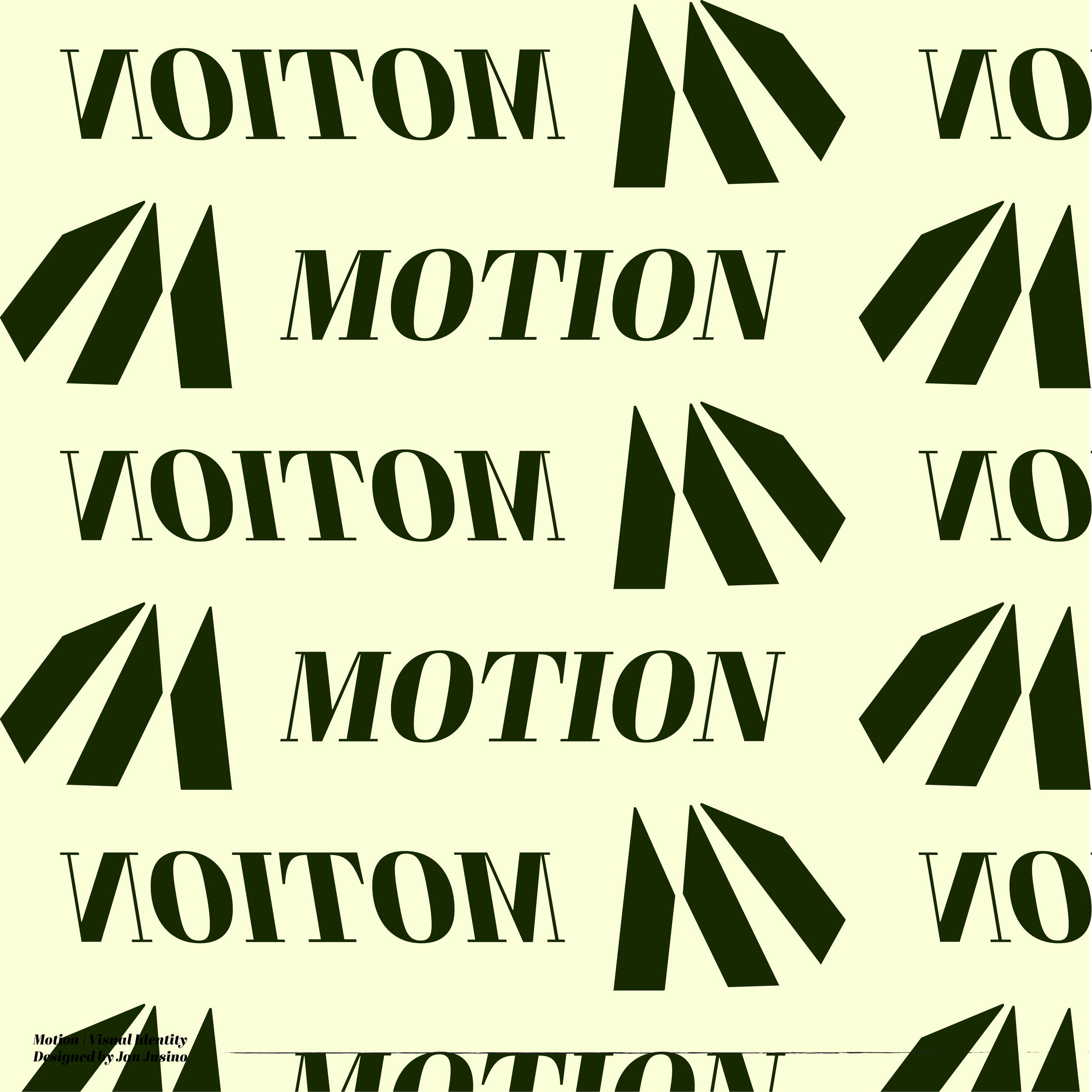 Motion_Logo_Typography copy.png