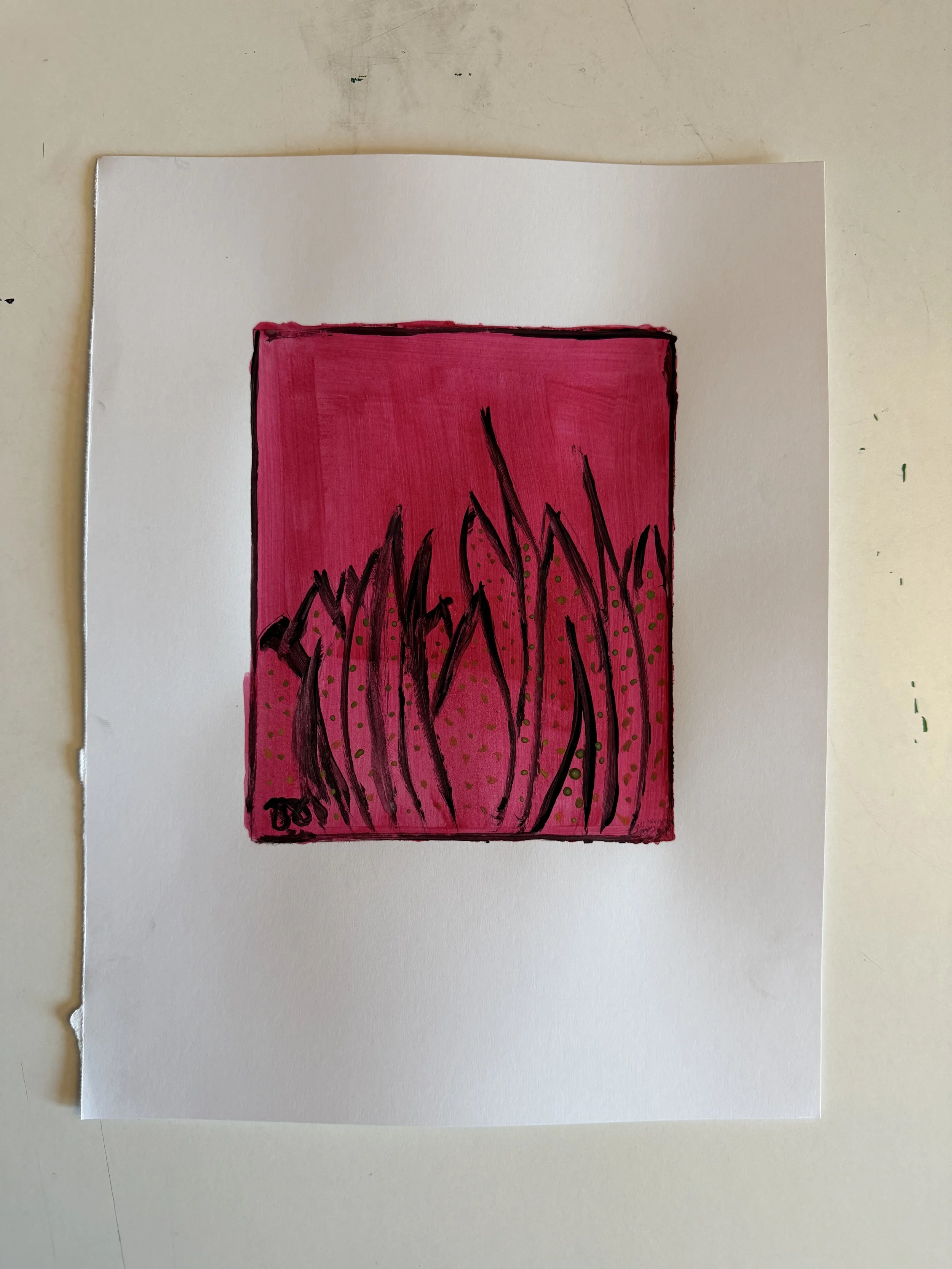 IMG_2670.jpeg