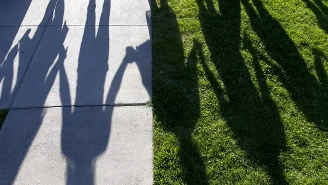 Shadows of people cast on a sidewalk and grass.