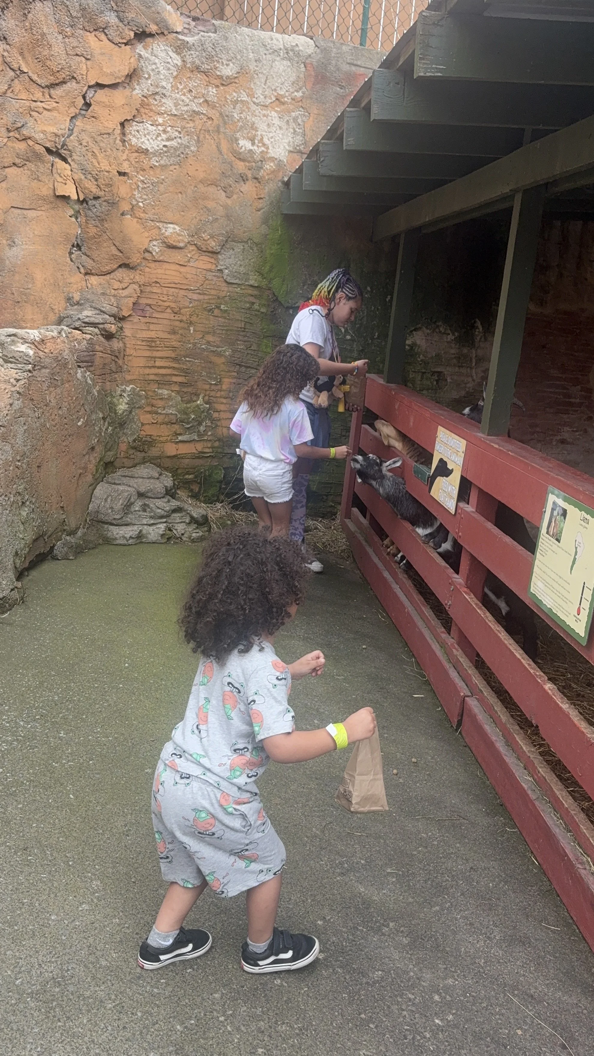 Three children feeding goats through a wooden fence at a petting zoo, with rocky walls in the background.