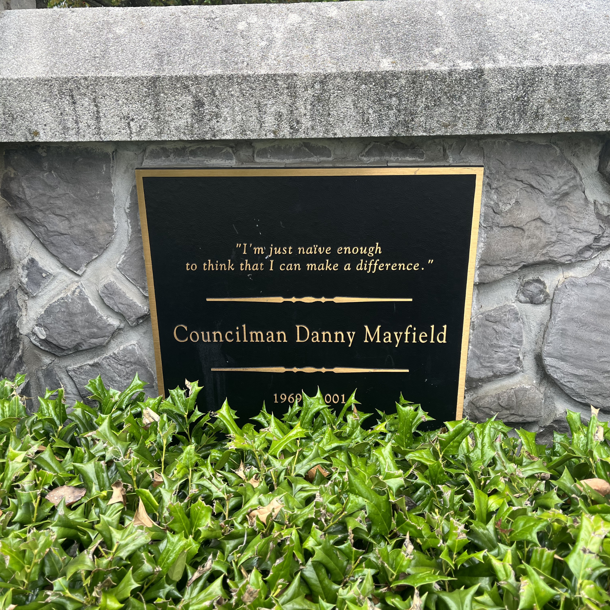A memorial plaque for Councilman Danny Mayfield mounted on a stone wall, with green holly bushes in front of it.