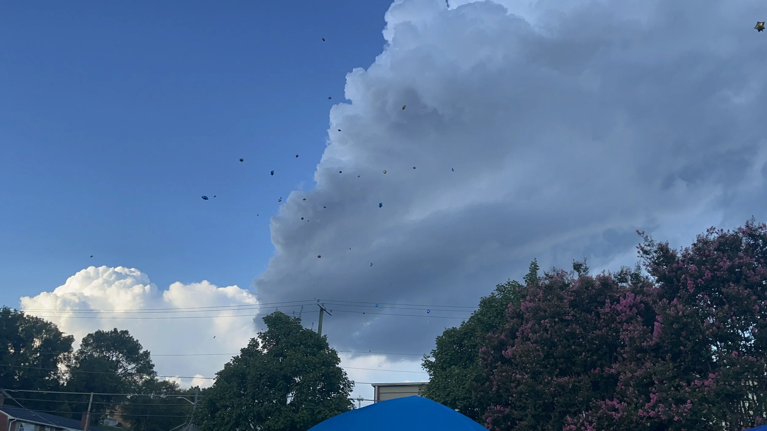 Sky with large cloud and balloons floating, trees with pink blossoms, and utility wires.