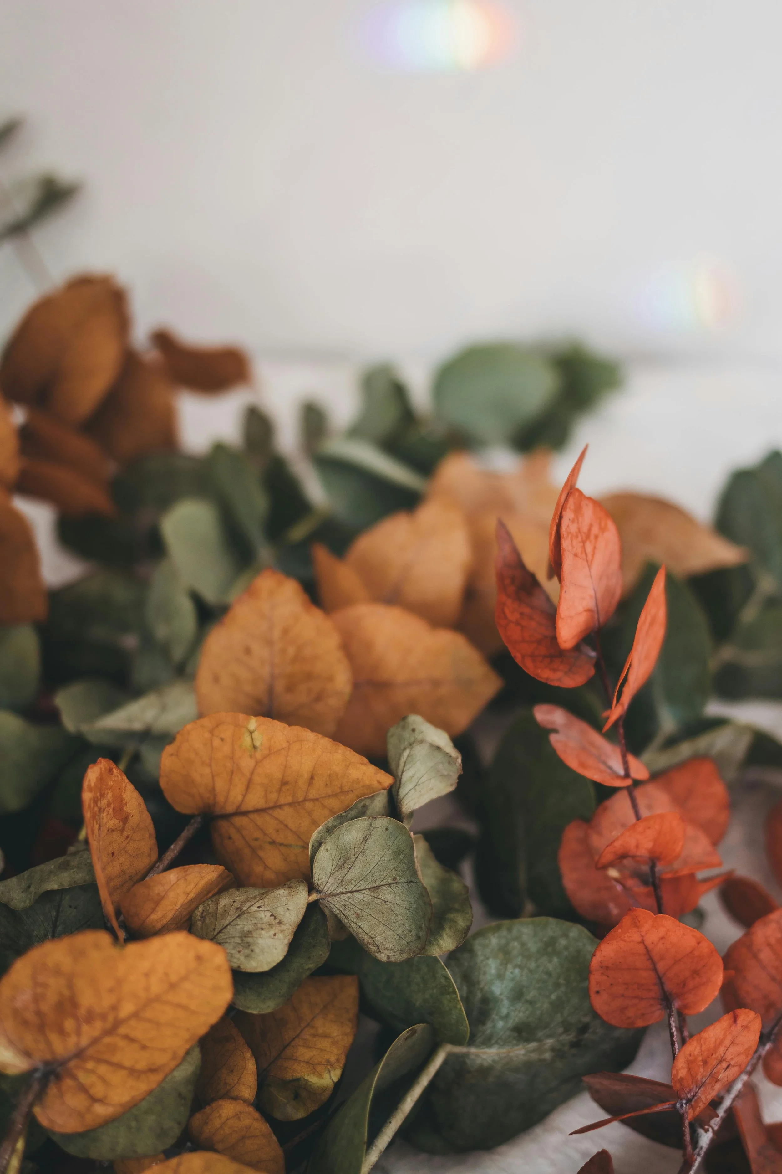 Embracing New Seasons May 3 11AM - 12:30PM Pacific