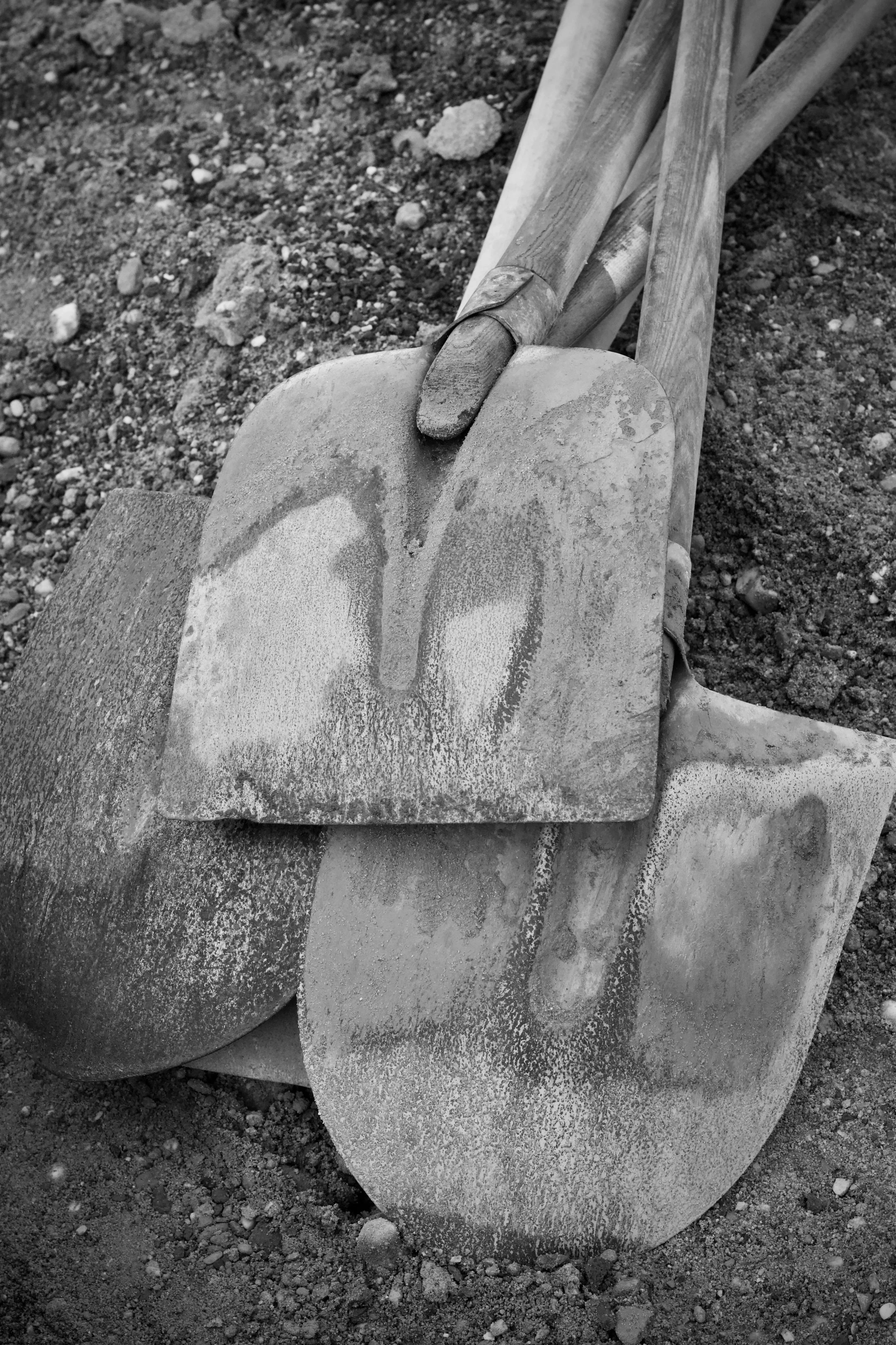Black and white photo of a shovel resting on loose dirt and small rocks.