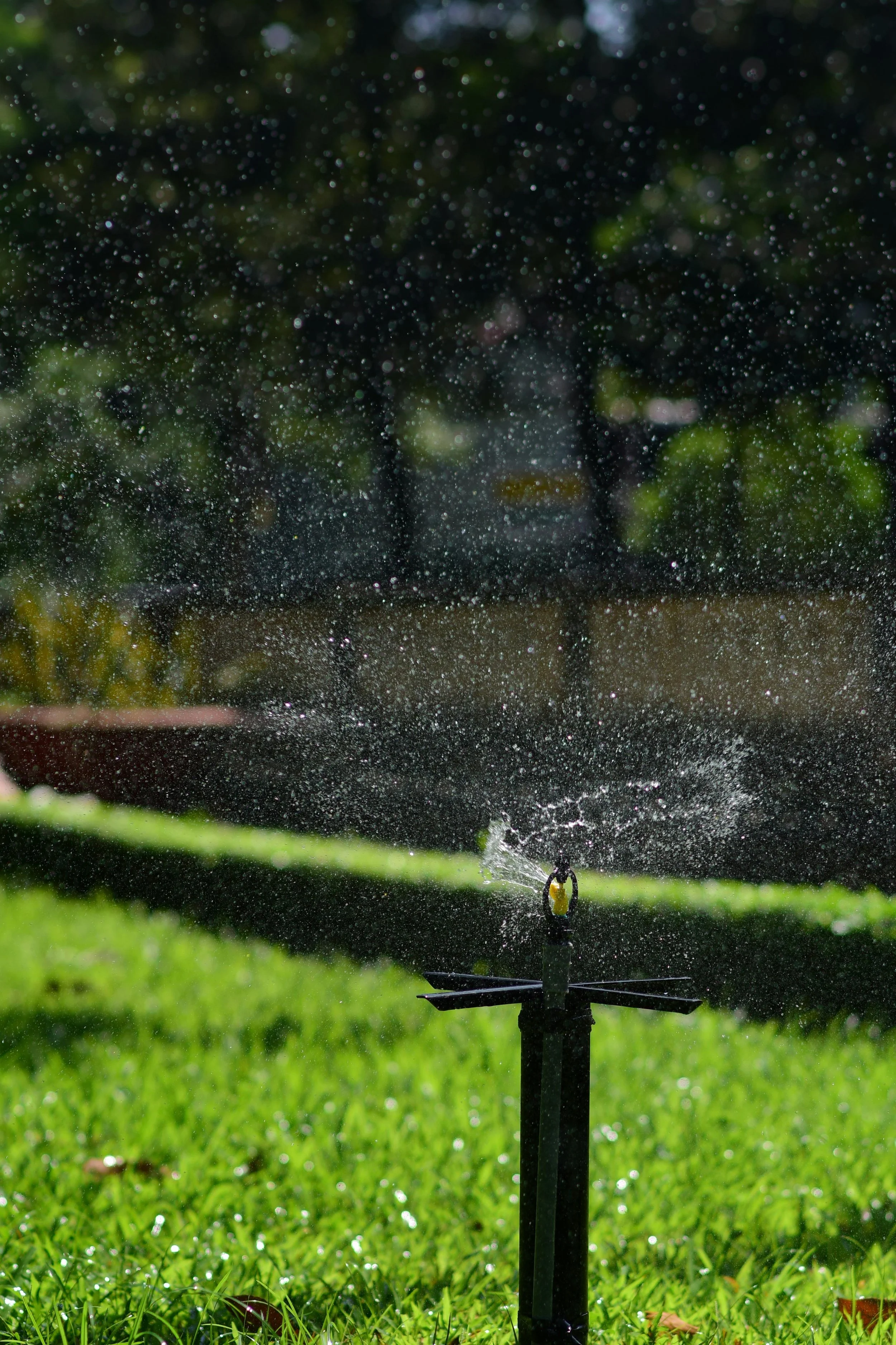 A garden sprinkler spraying water over green grass on a sunny day.