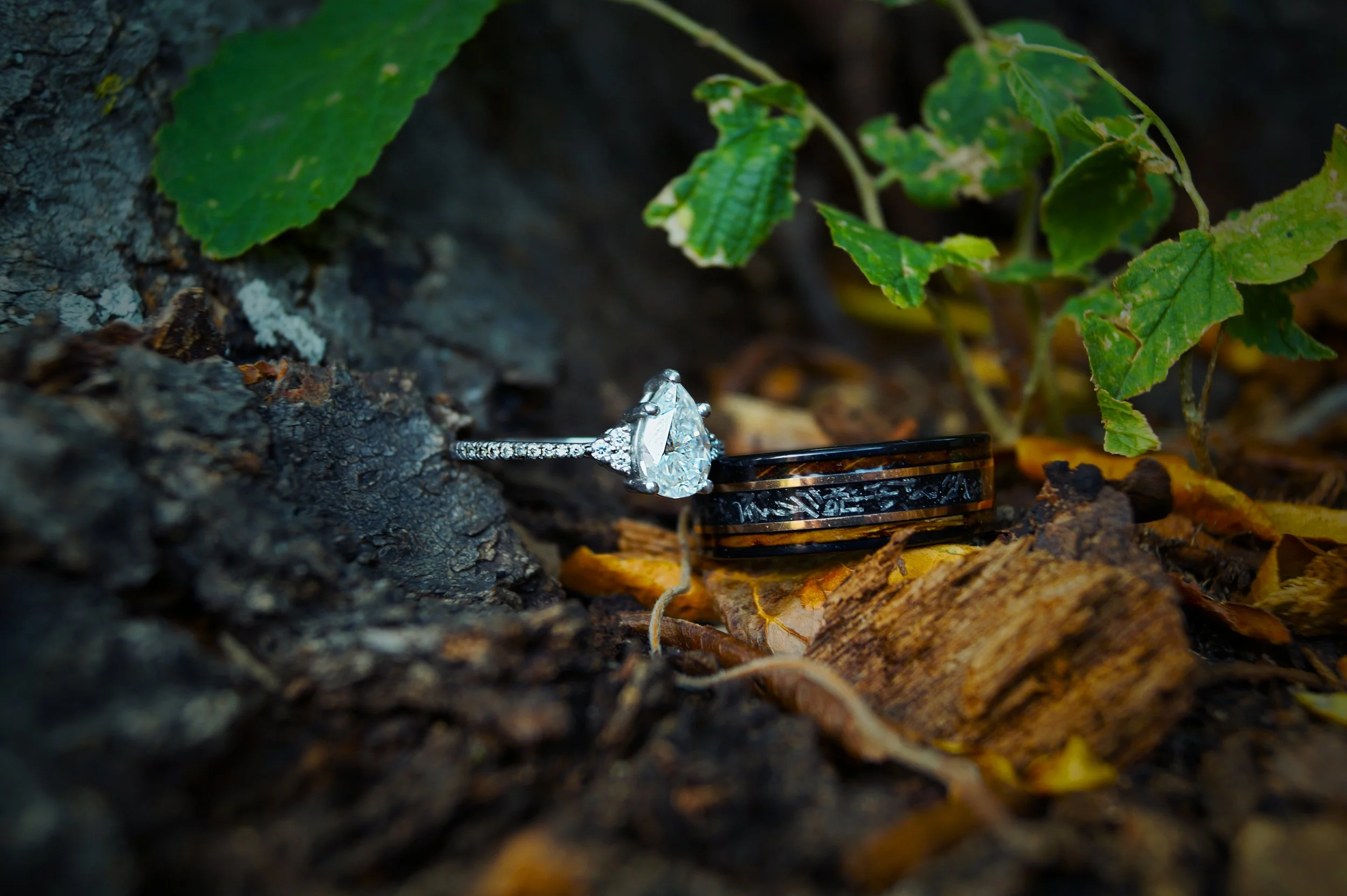 rings-engagement-nature-love