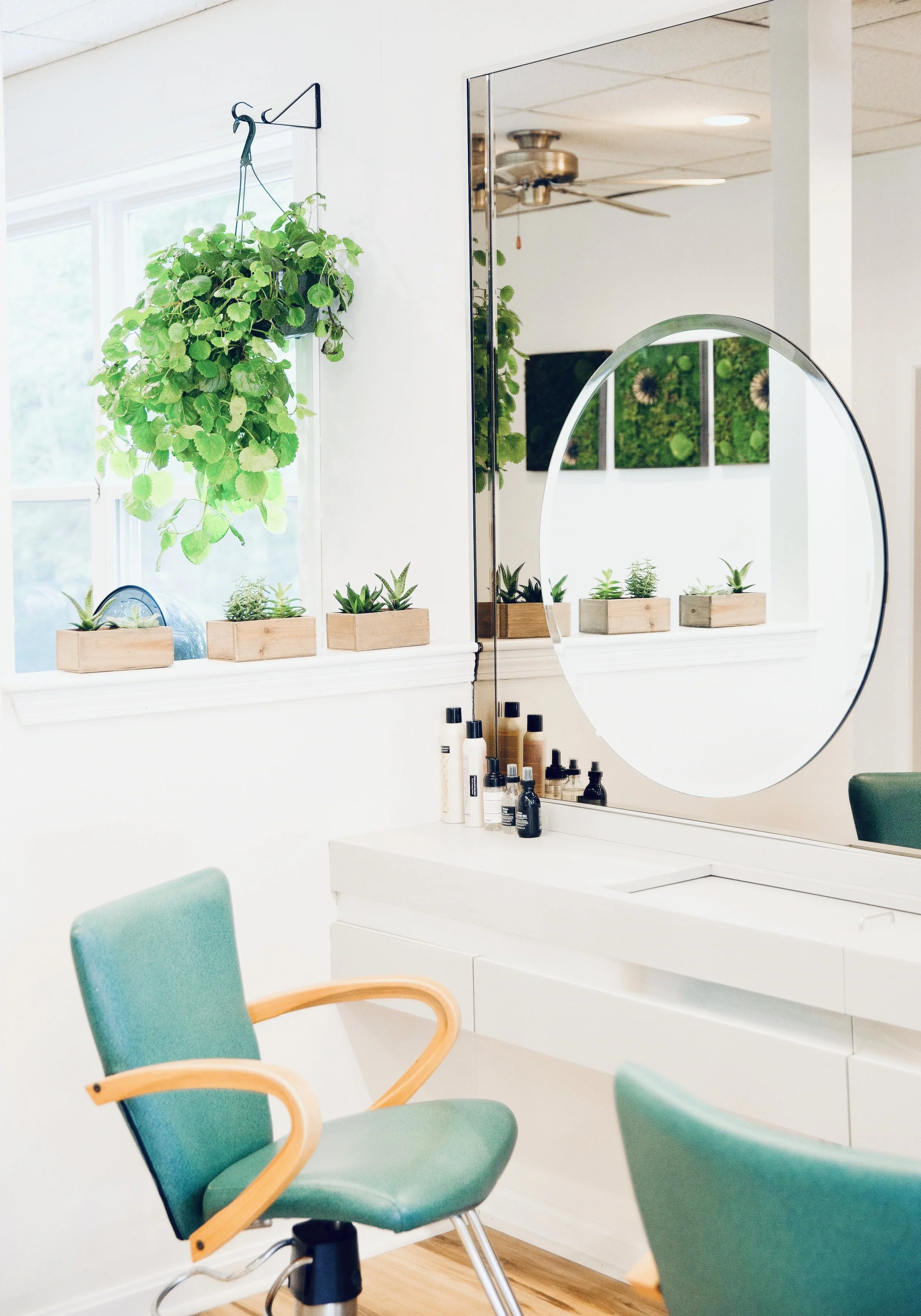 A bright interior space featuring a large hanging plant near a window, small potted succulents on a white shelf, a curved mirror on the wall, and salon or office chairs with green upholstery and wooden armrests.