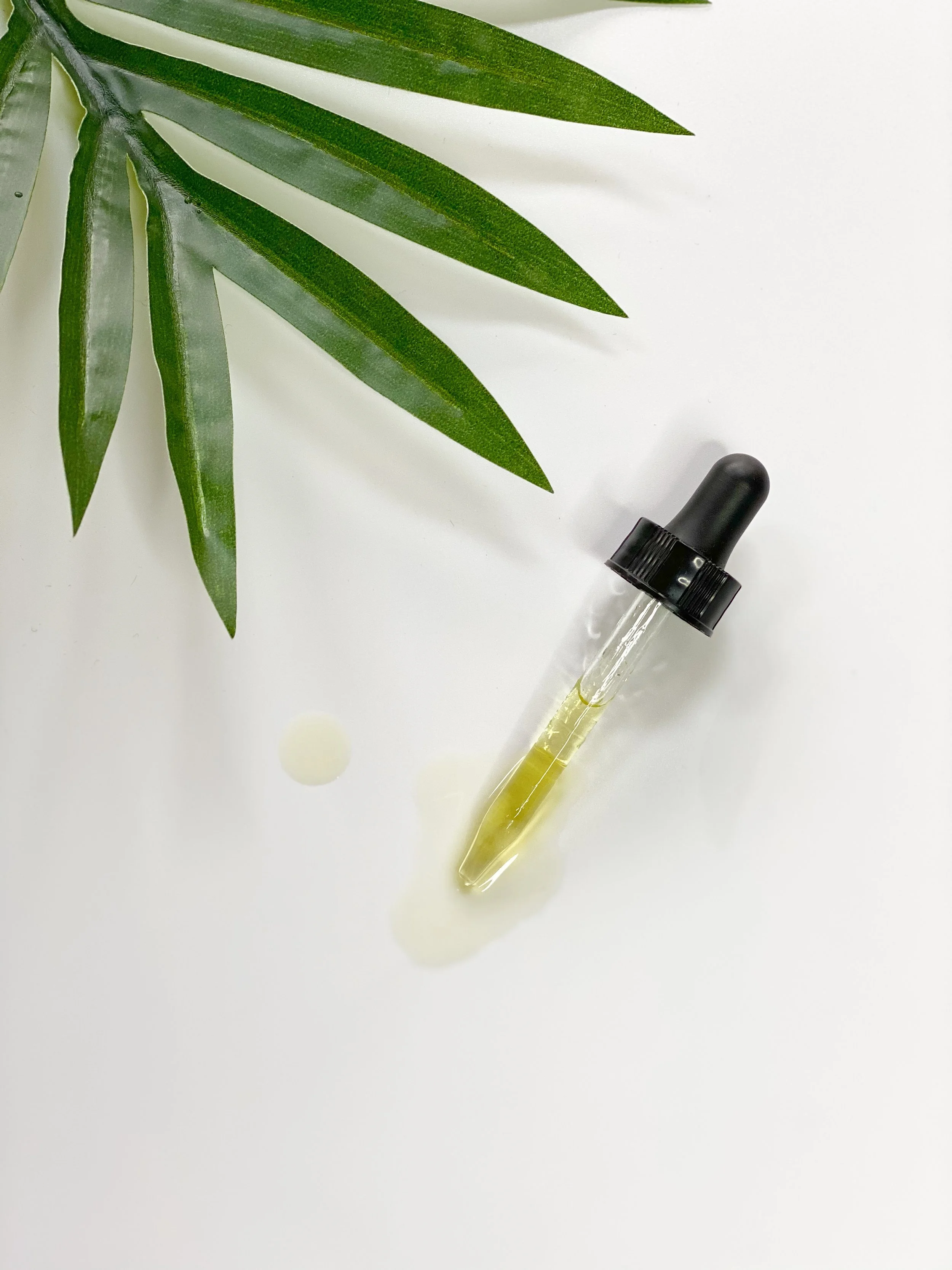 A sprig of green leaves hovering above a glass dropper filled with yellow oil on a white background.